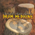 Drum Medicine by Gordon, David & Steve (CD, 1999)