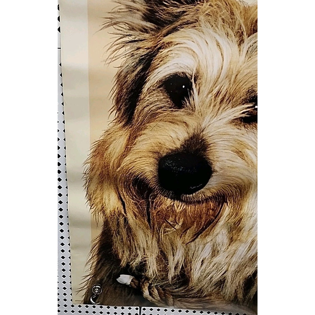 Because of Winn-Dixie 2005 Double Sided Original Movie Poster 27"x40"