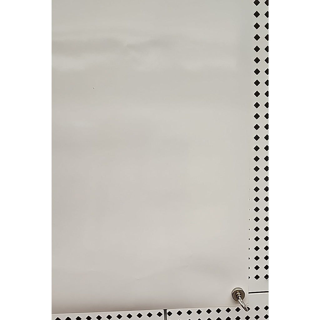 Bruce Lee 15x21 Poster
