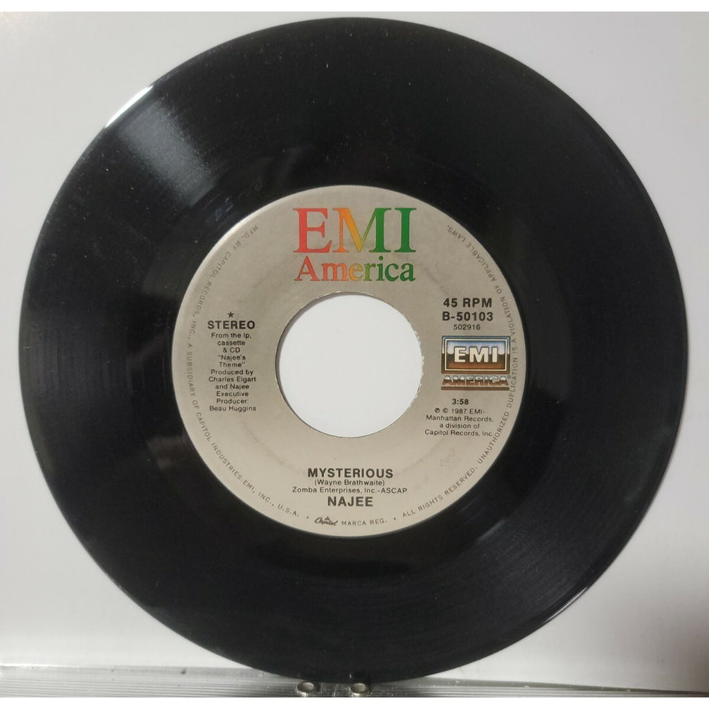 Najee - Mysterious / We're Still Family (Vinyl)