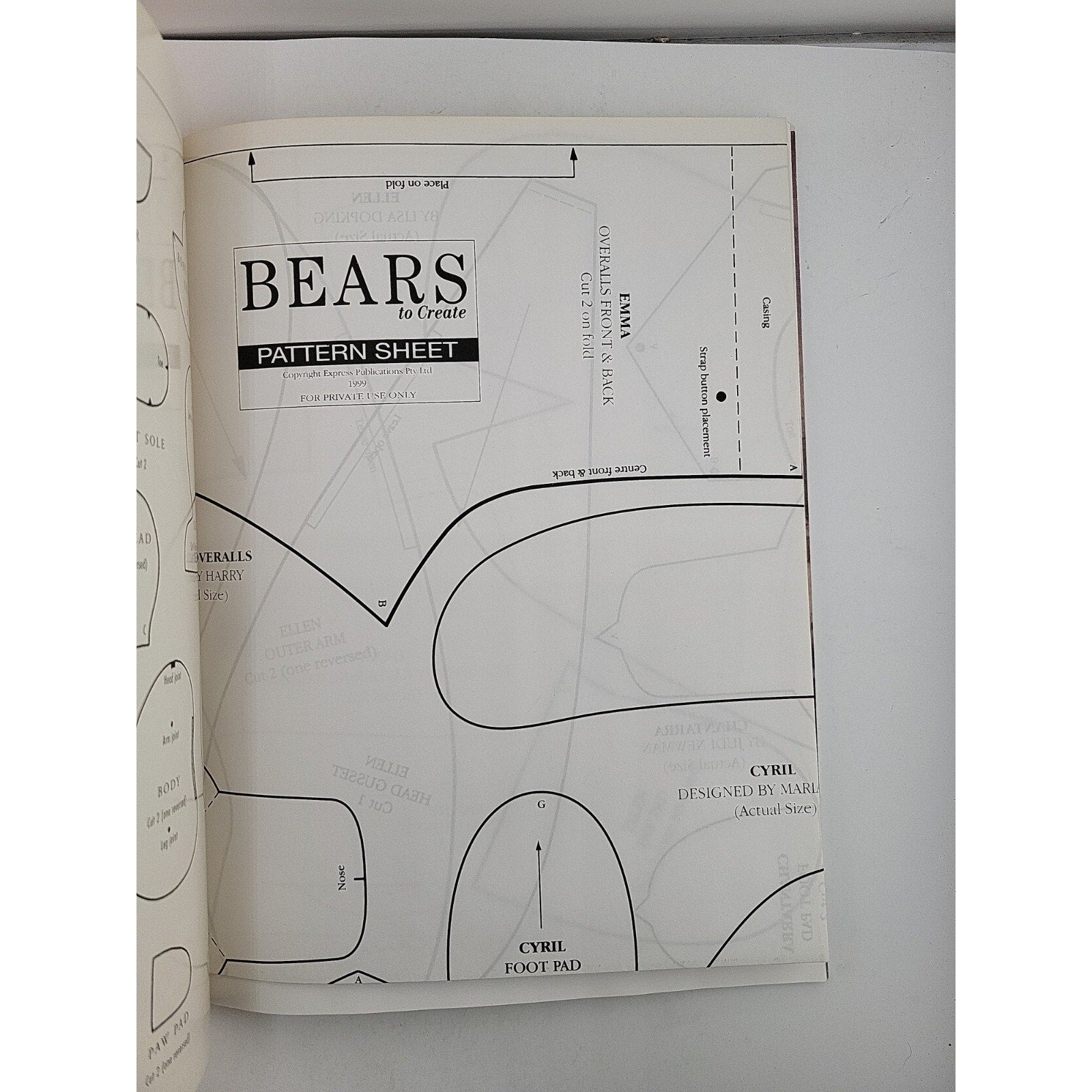 Bears To Create Paperback Book