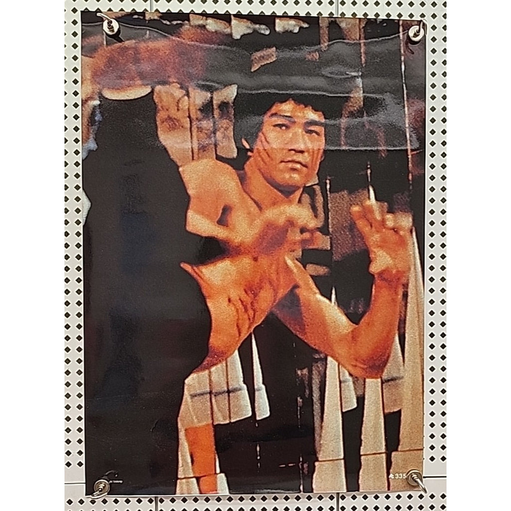 Bruce Lee 15x21 Poster