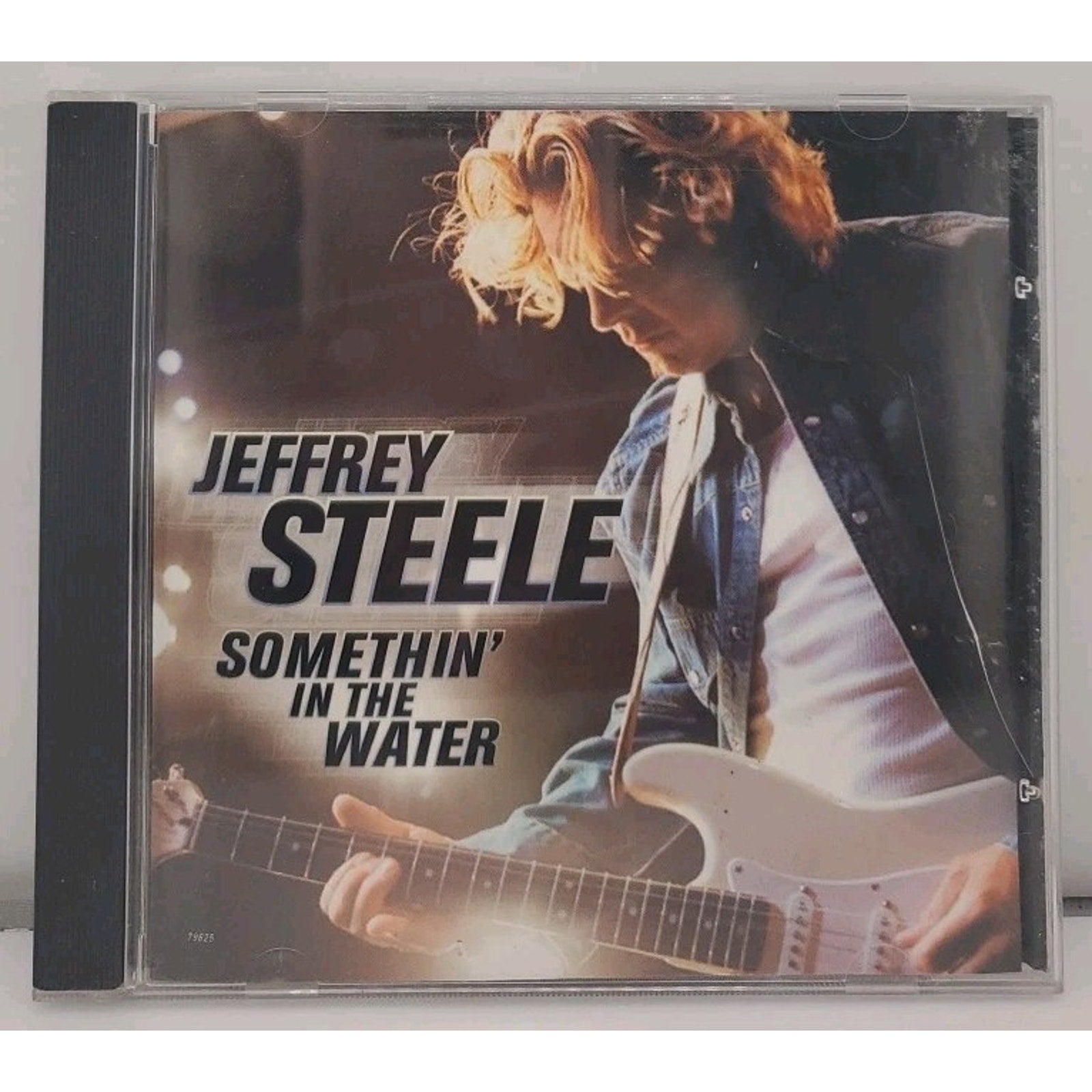 Somethin' in the Water by Jeffrey Steele (CD Single, 2001)