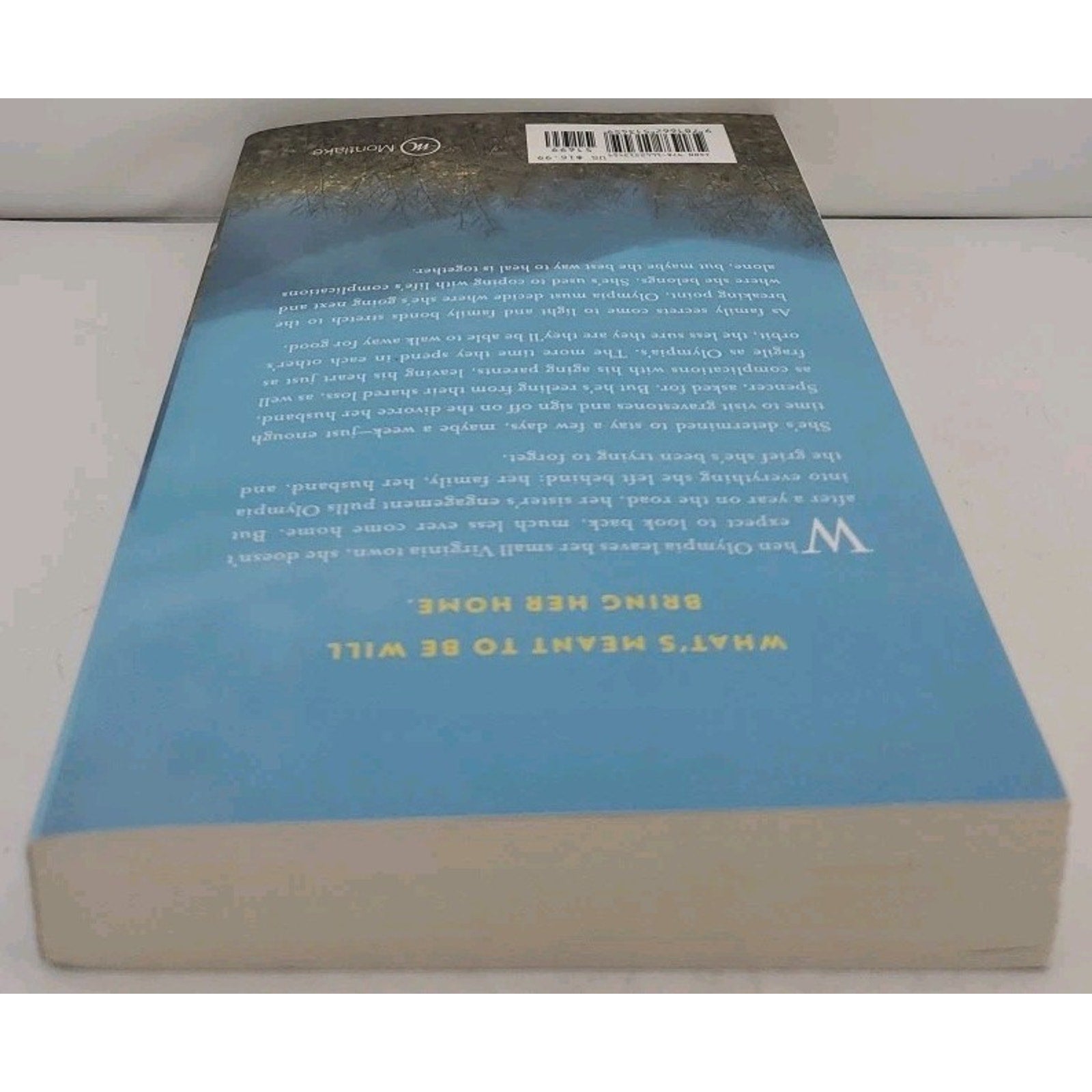 Promise of Tomorrow by Mary Ellen Taylor (2024, Trade Paperback)