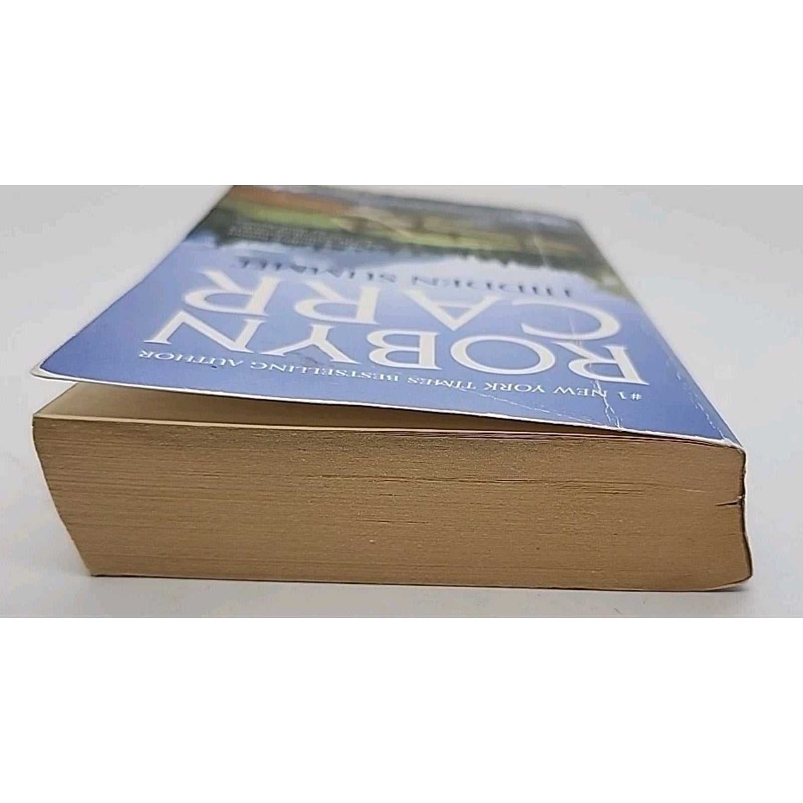 Hidden Summit by Robyn Carr (2011, Mass Market)
