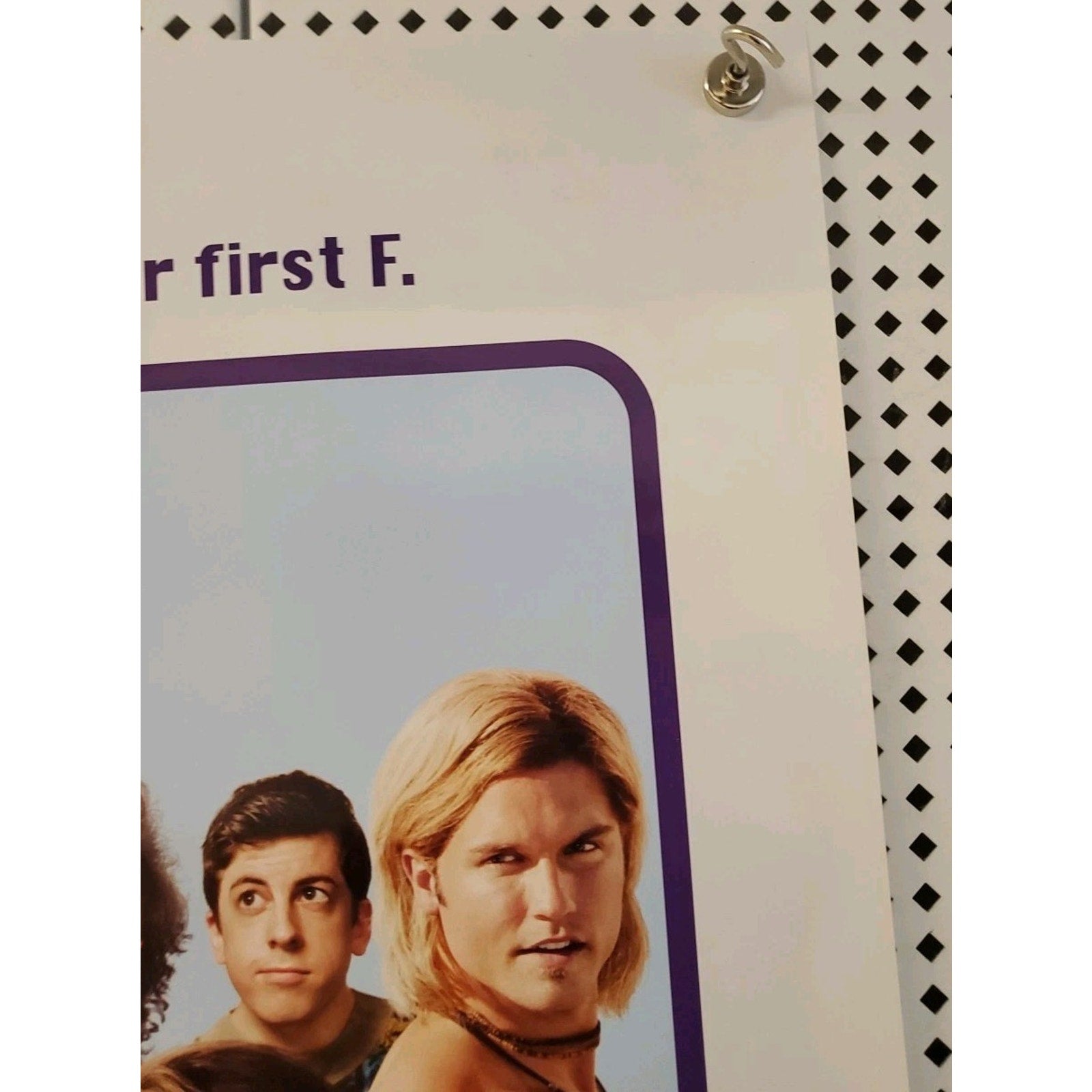The To Do List (2013) - Original DS 2 Sided 27x40" US Movie Poster Aubrey Plaza