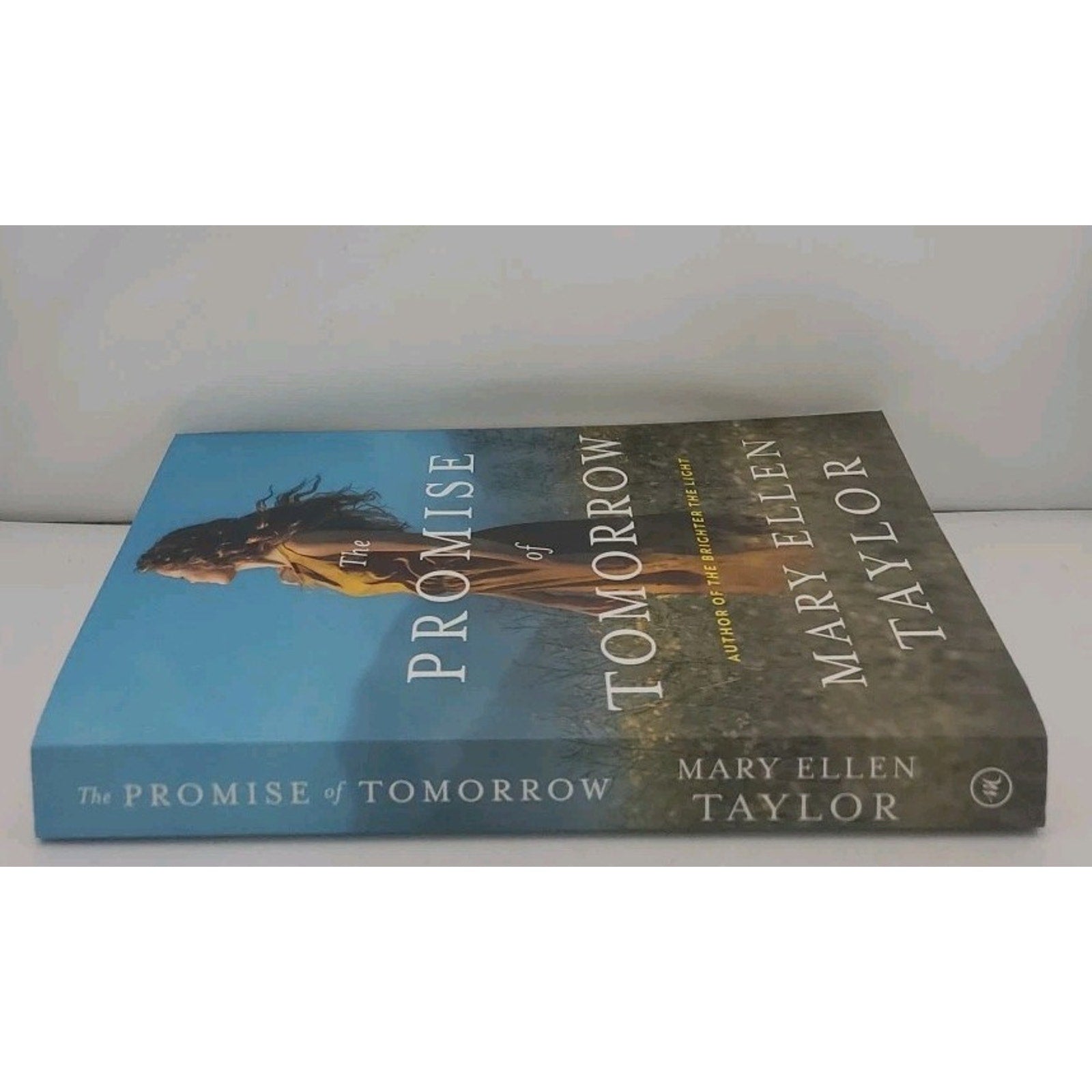 Promise of Tomorrow by Mary Ellen Taylor (2024, Trade Paperback)