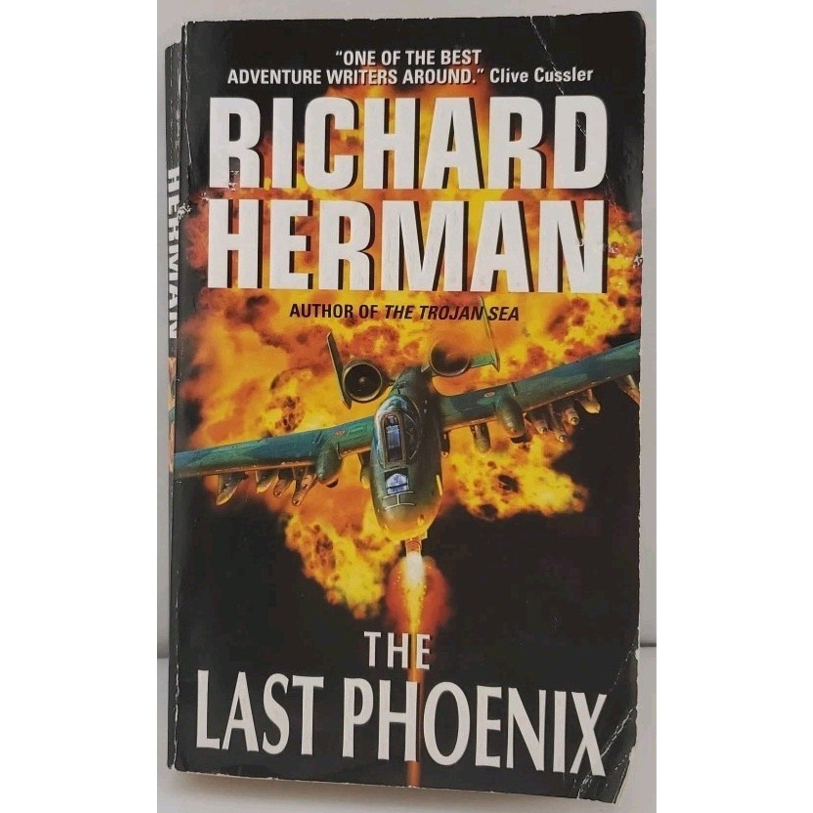 The Last Phoenix by Richard-Herman (Paperback)
