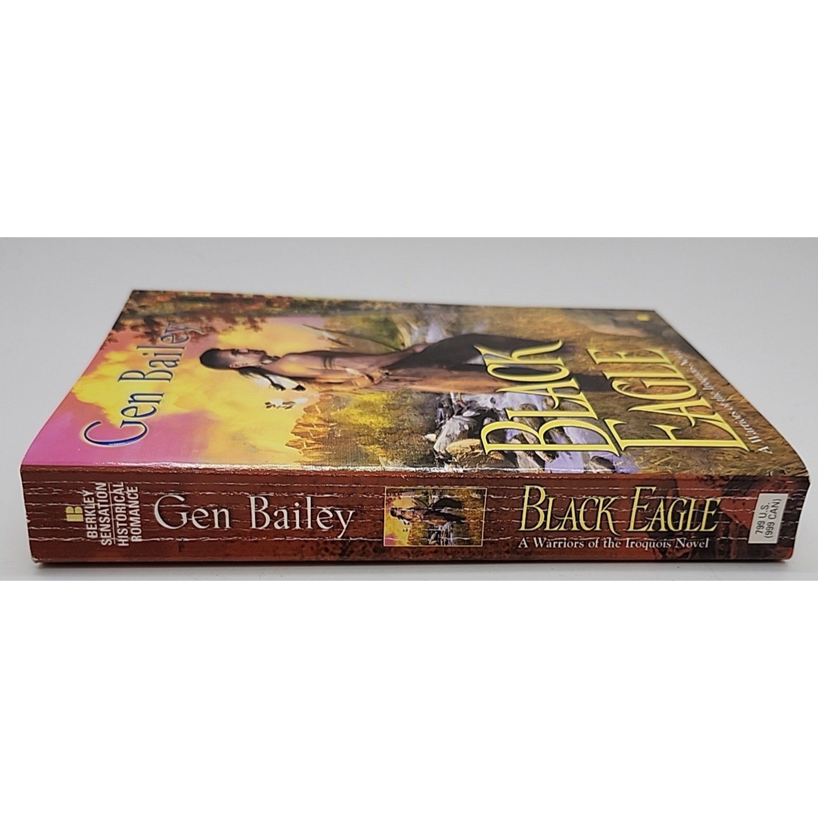 Black Eagle by Gen Bailey (2009, Paperback)