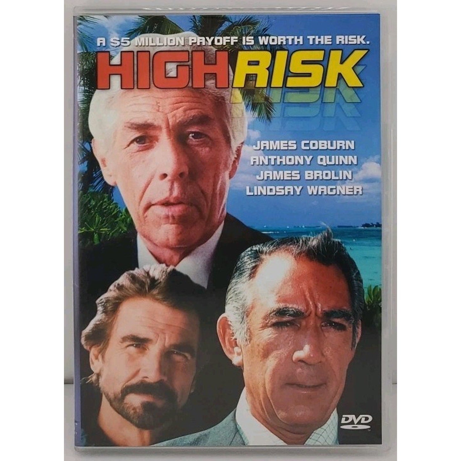 High Risk (DVD, 1981)