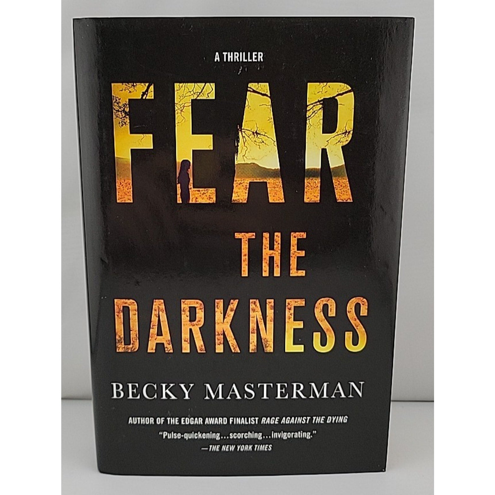 Fear the Darkness by Becky Masterman (2015, Hardcover)
