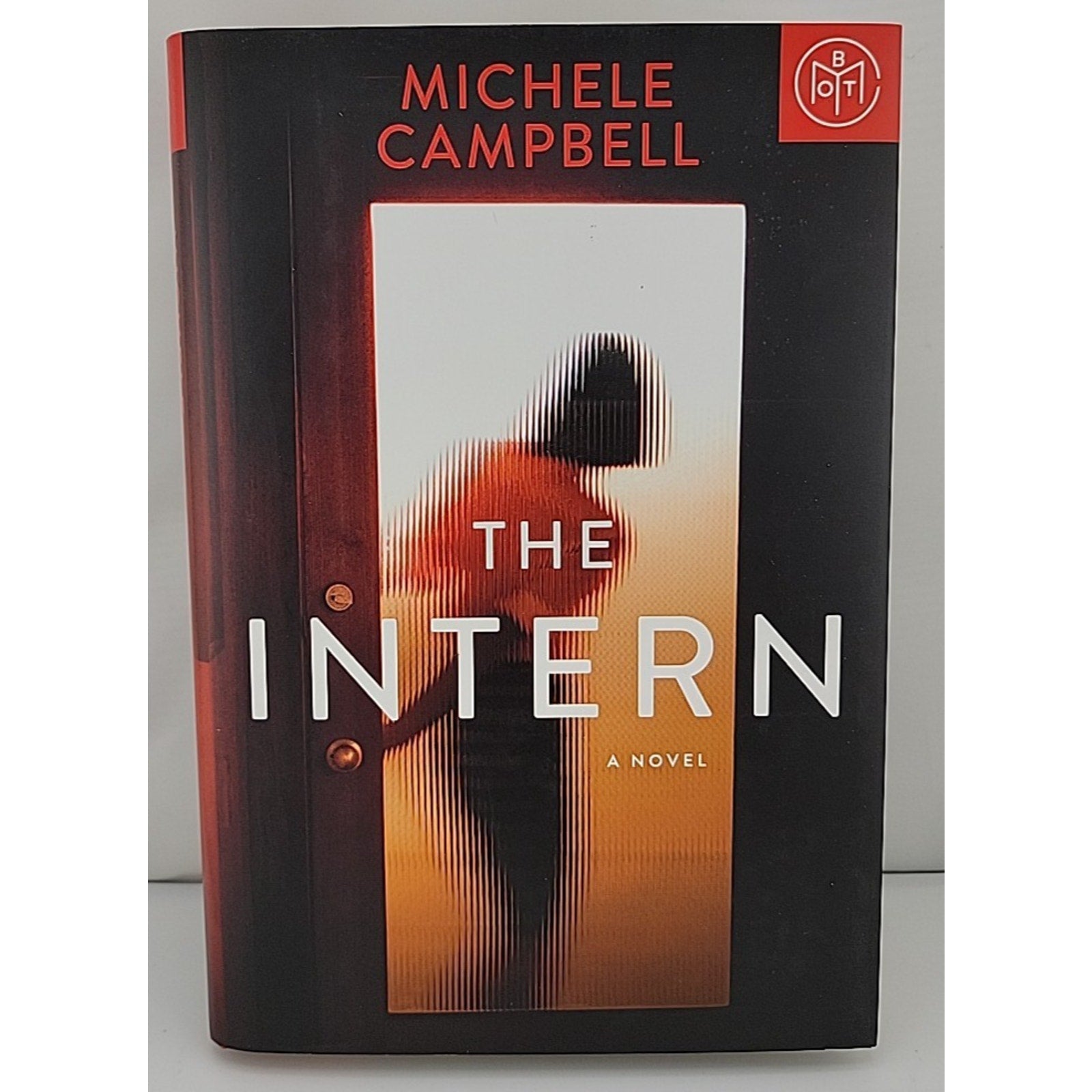 Intern : A Novel by Michele Campbell (2023, Hardcover)