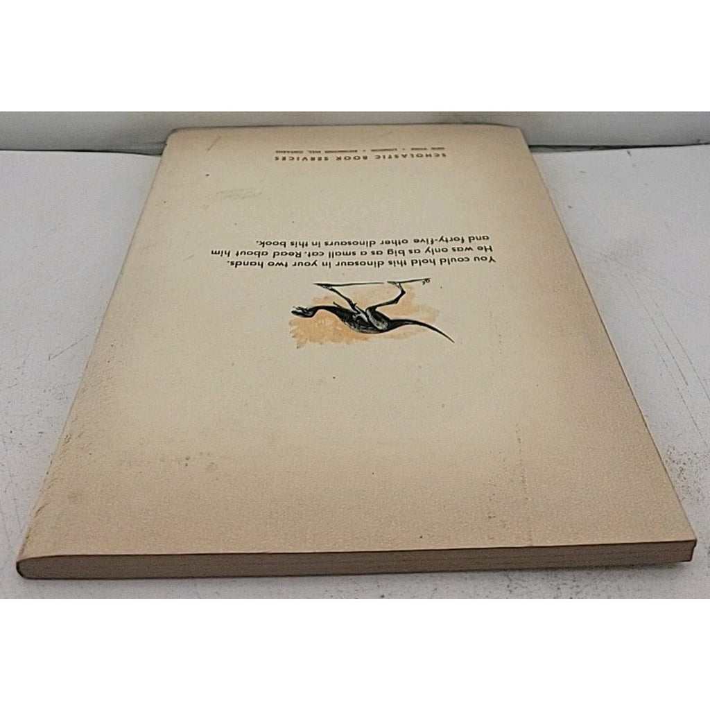 Dinosaurs and More Dinosaurs - Paperback By Craig, M. Jean