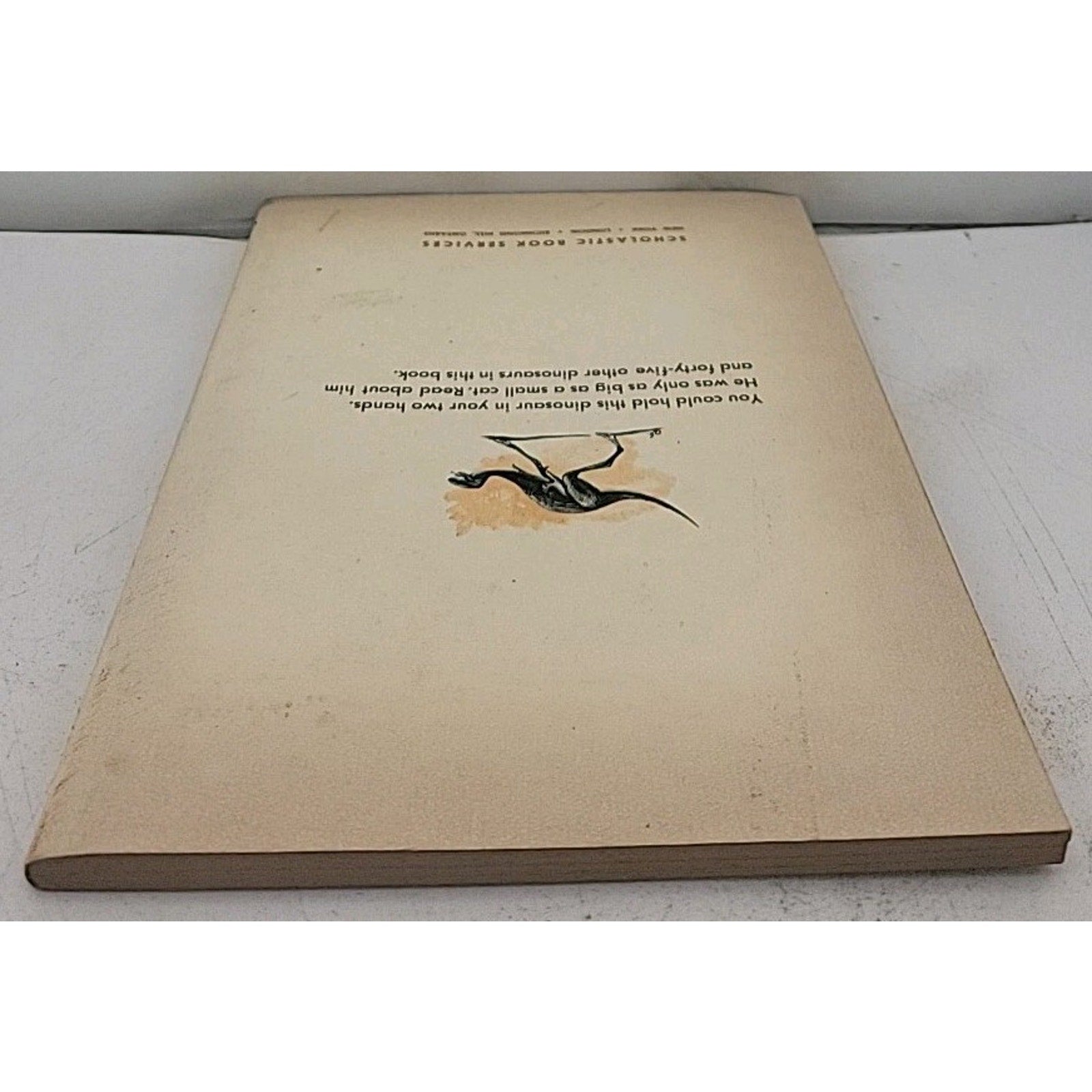 Dinosaurs and More Dinosaurs - Paperback By Craig, M. Jean