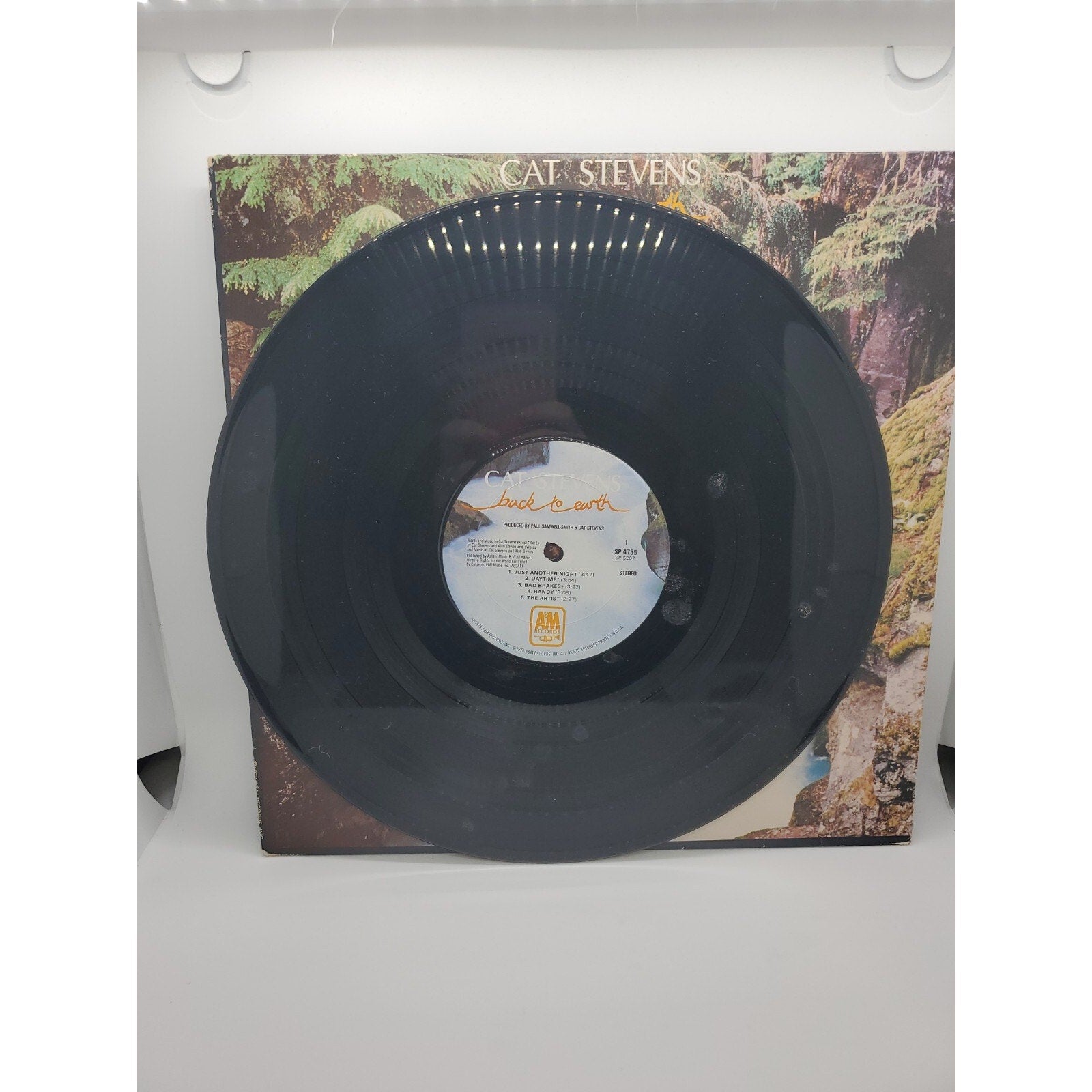 Back To Earth by Yusuf ( Stevens, Cat ) (Record, 2019)