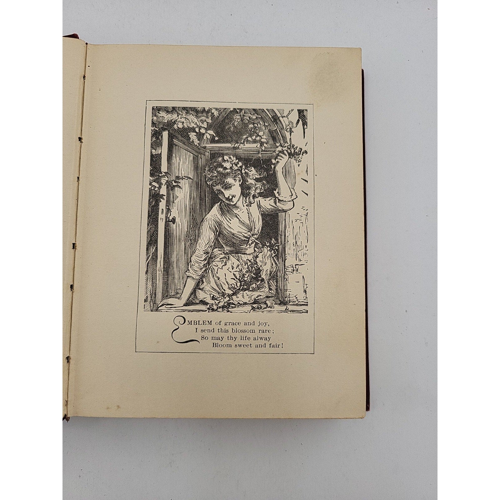 Antique Birthday Wishes Greetings From Tennyson Donohue Chicago