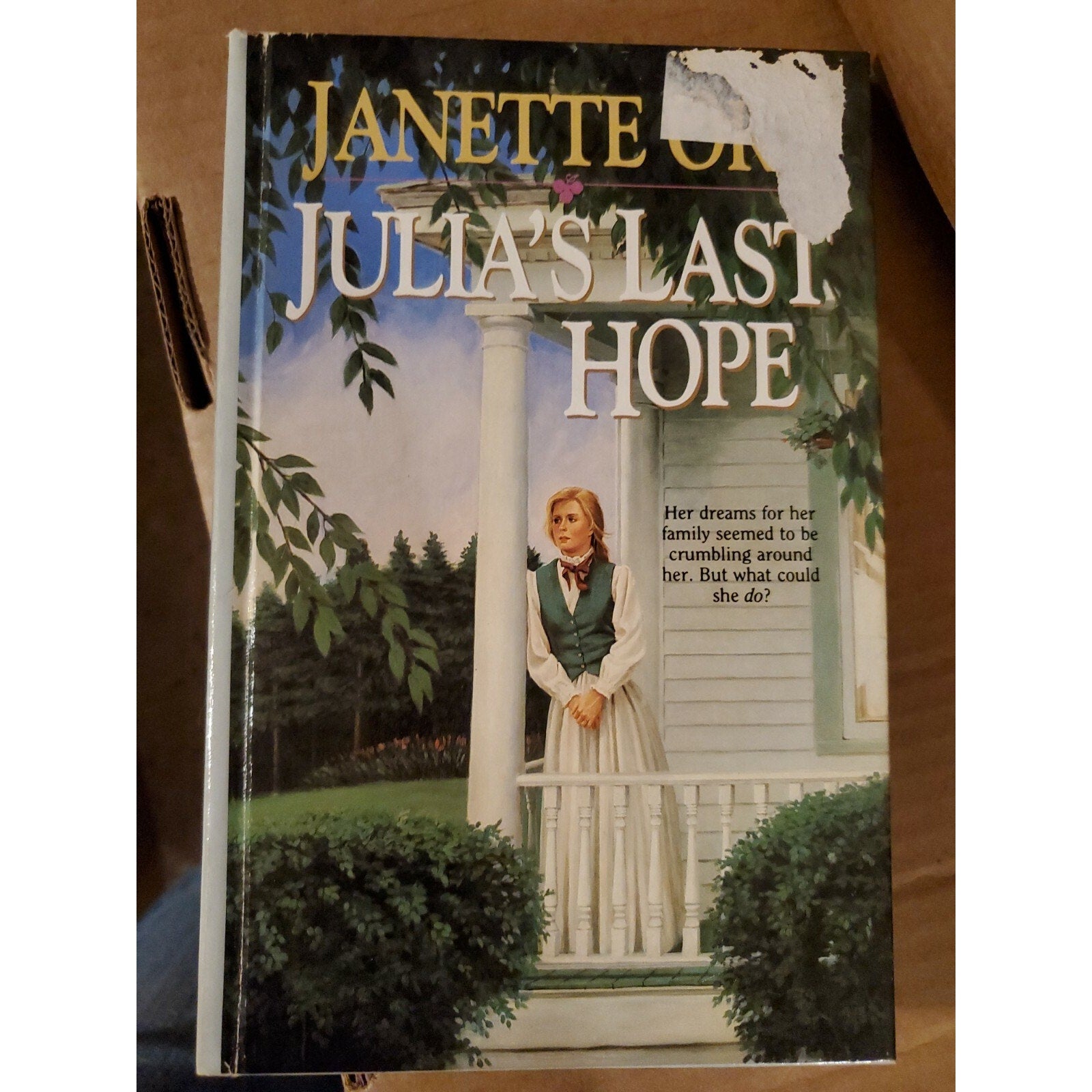 Women of the West Ser.: Julia's Last Hope by Janette Oke
