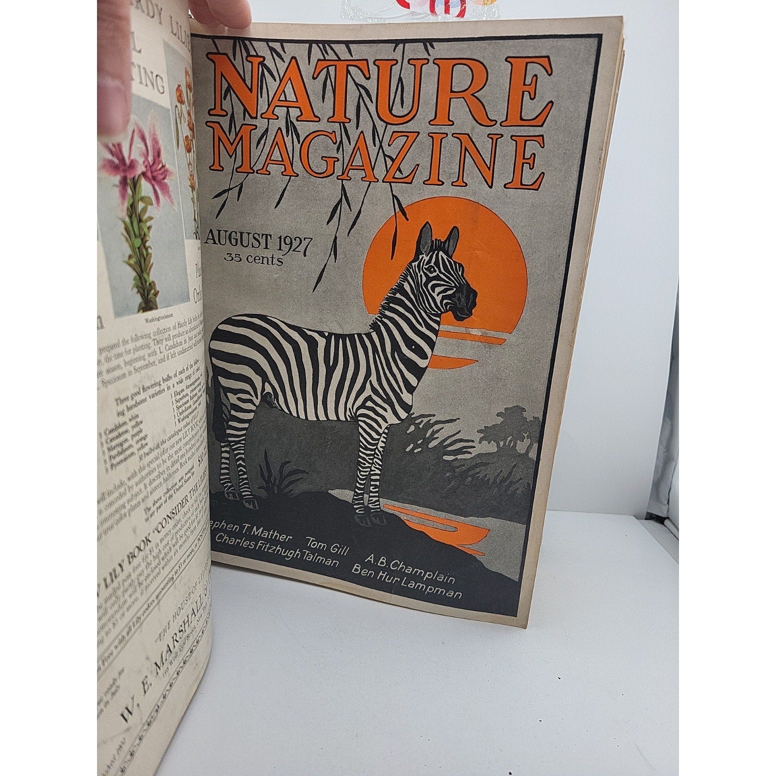 1927 Nature Magazine-12 Months In Embossed Green Leather Album Texas Issue.