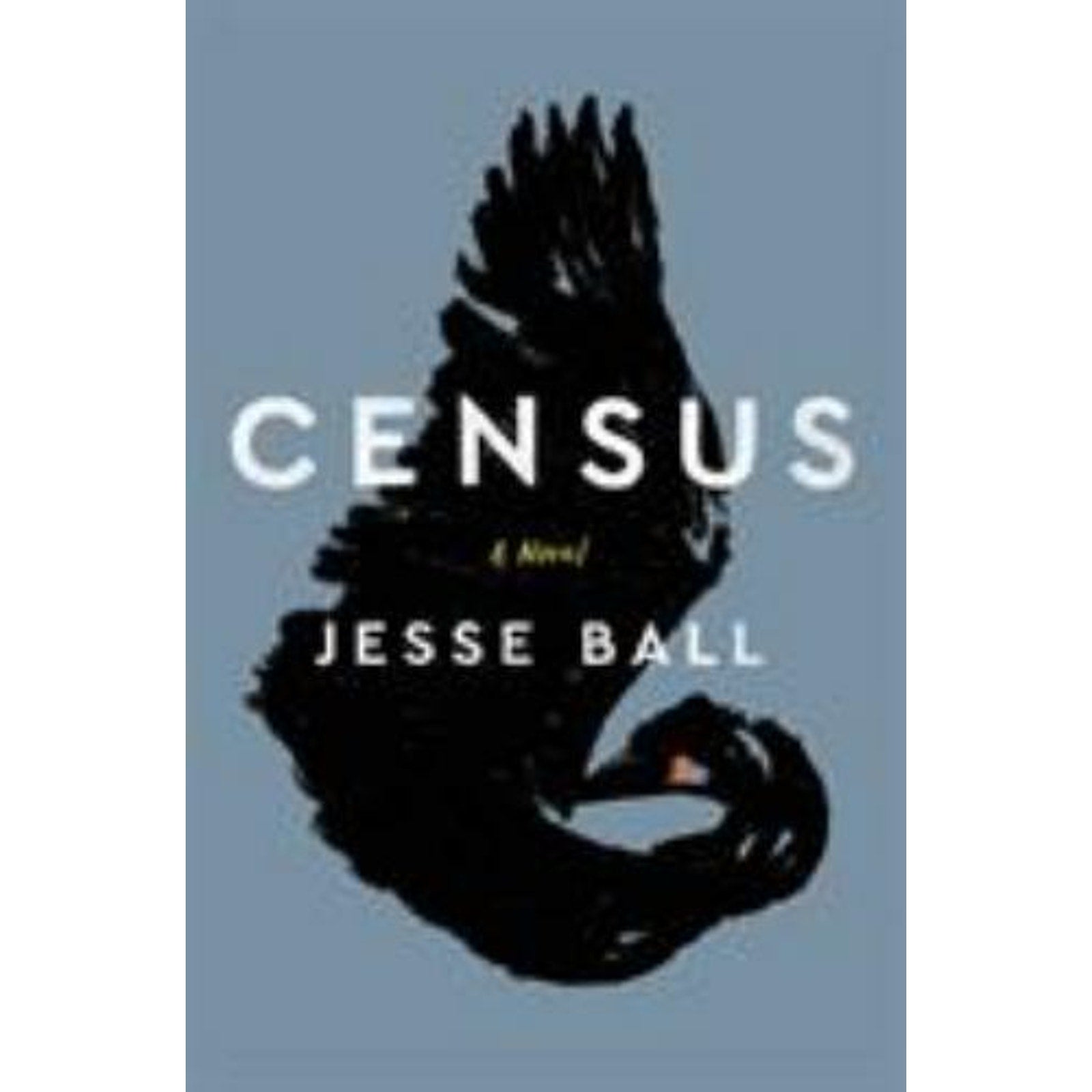 Census by Jesse Ball (2018, Hardcover)