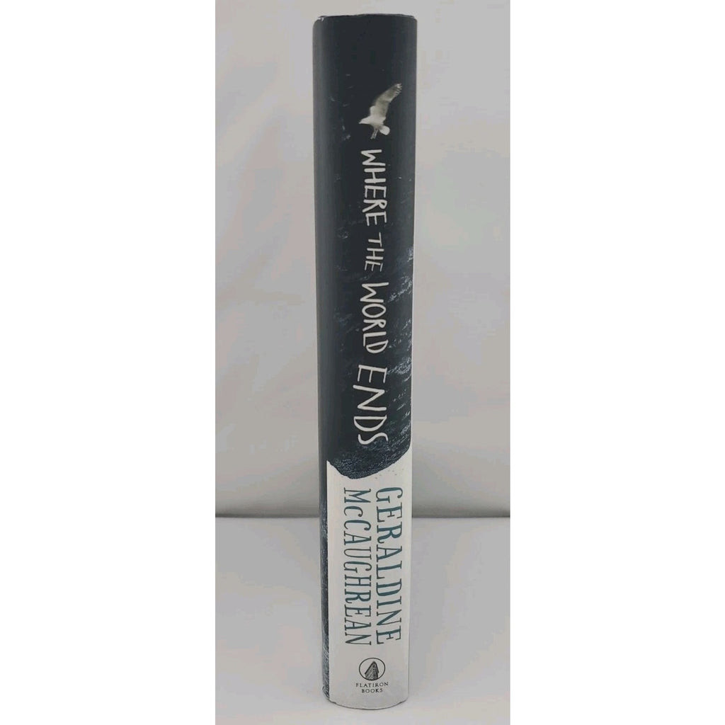 Where the World Ends by Geraldine McCaughrean (2019, Hardcover)