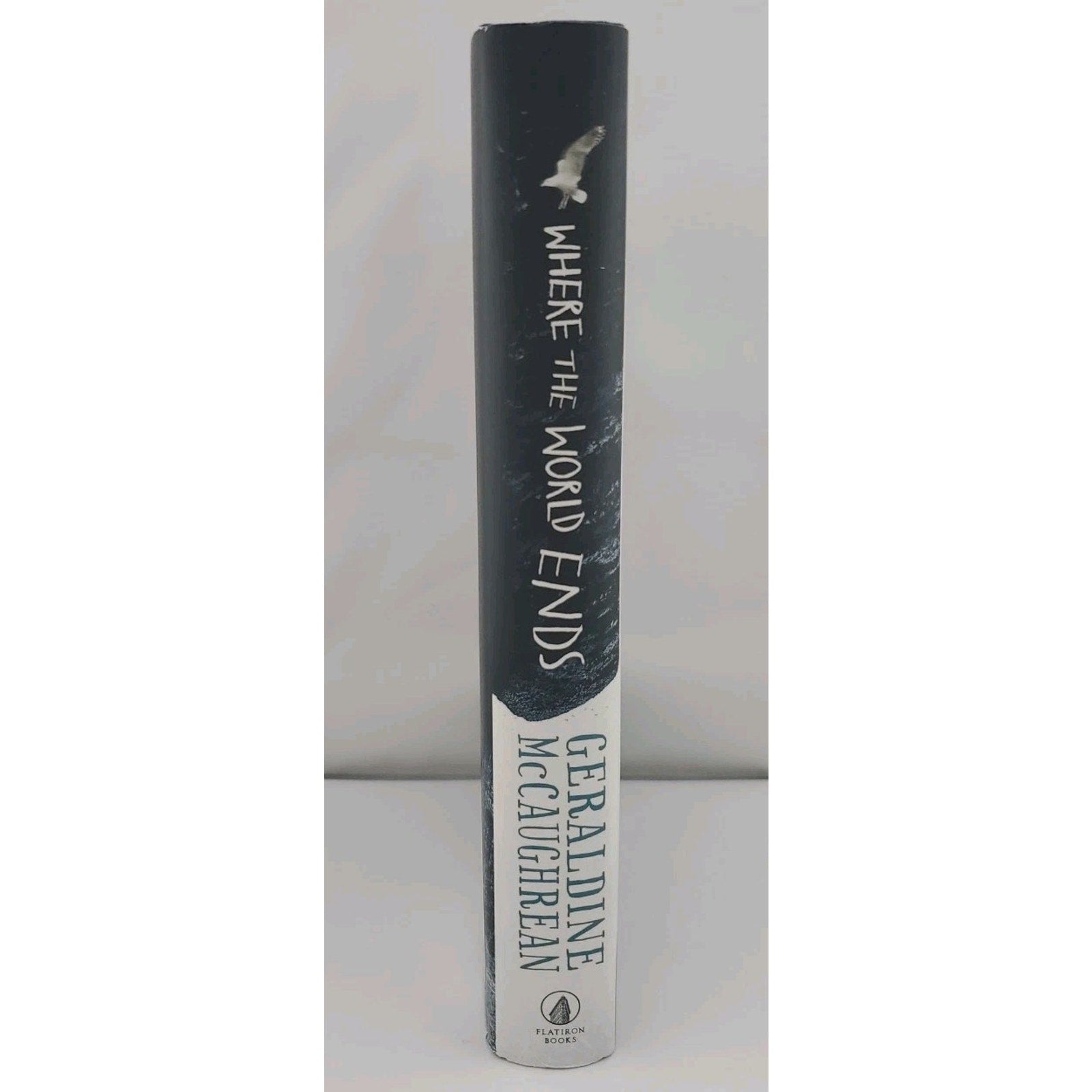Where the World Ends by Geraldine McCaughrean (2019, Hardcover)