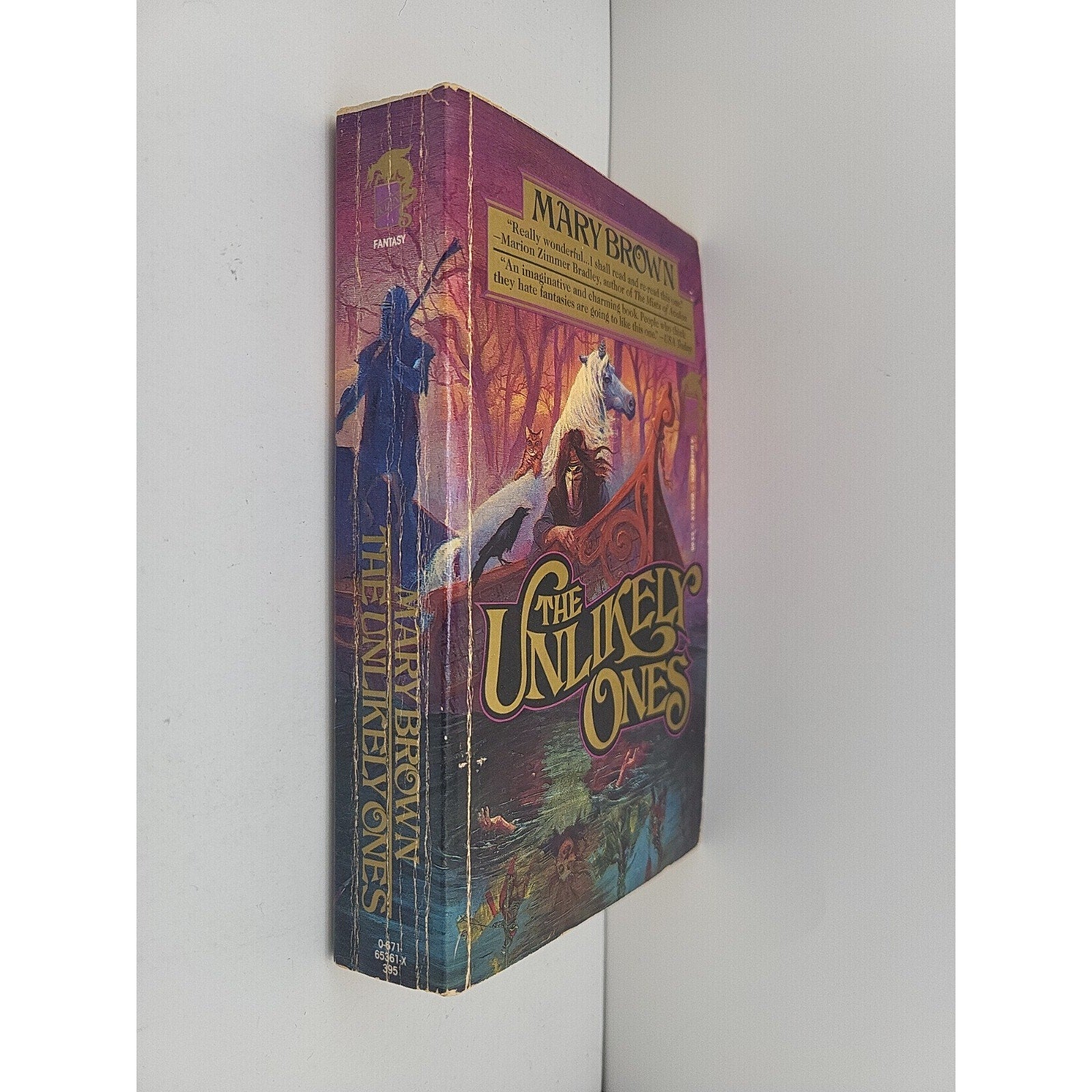 The Unlikely Ones Mary Brown 197 First Print Used Condition Book