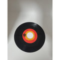 The Letterman Catch the Wind/Hurt So Bad 45 RPM 7” Record