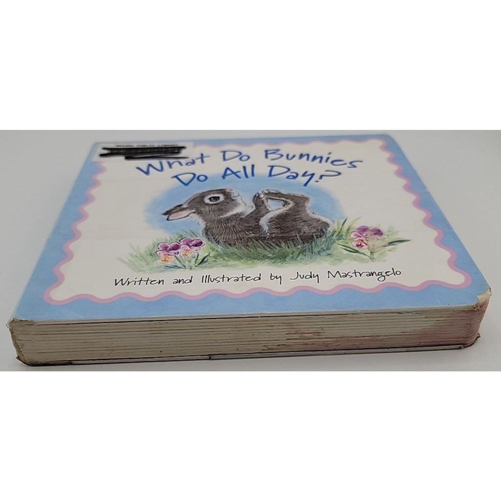 What Do Bunnies Do All Day by Judy Mastrangelo (2005, Children's Board Books)