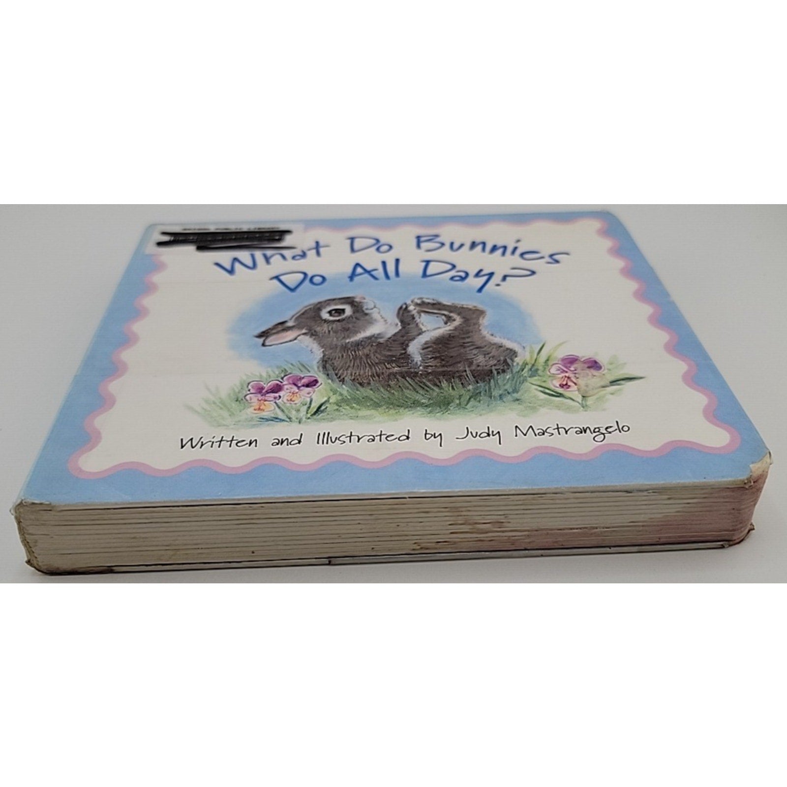 What Do Bunnies Do All Day by Judy Mastrangelo (2005, Children's Board Books)