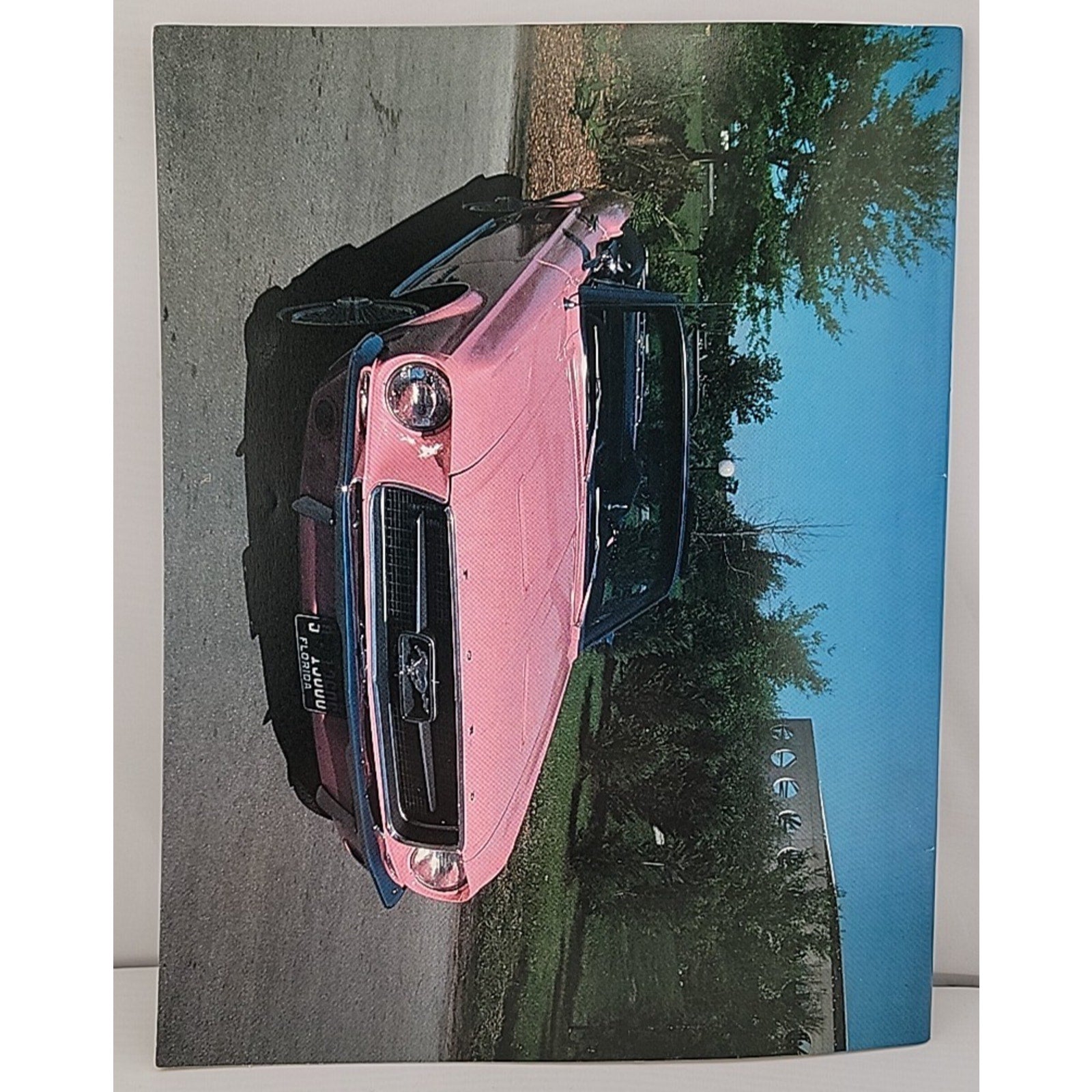 Mustang Times June 1990 Magazine