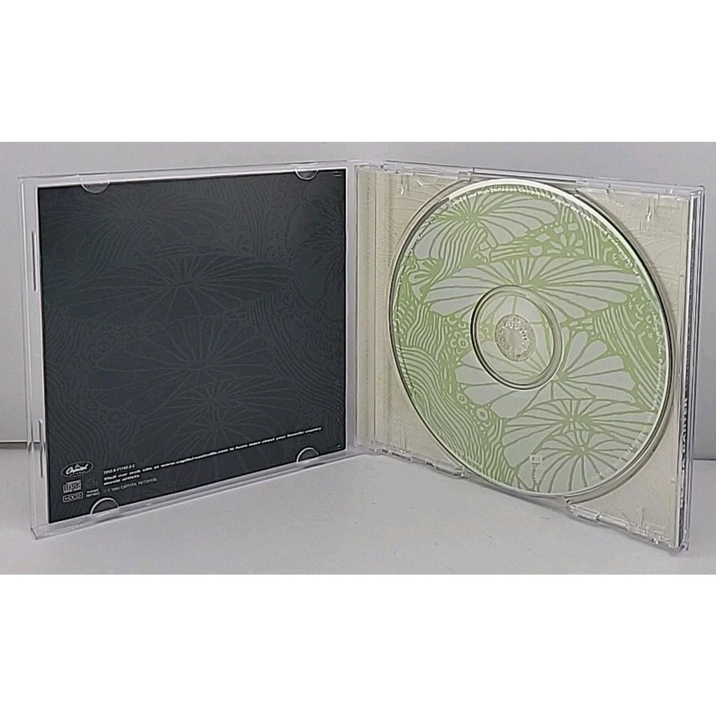 Everything's Gonna Be Alright by Deana Carter (CD, 1998)