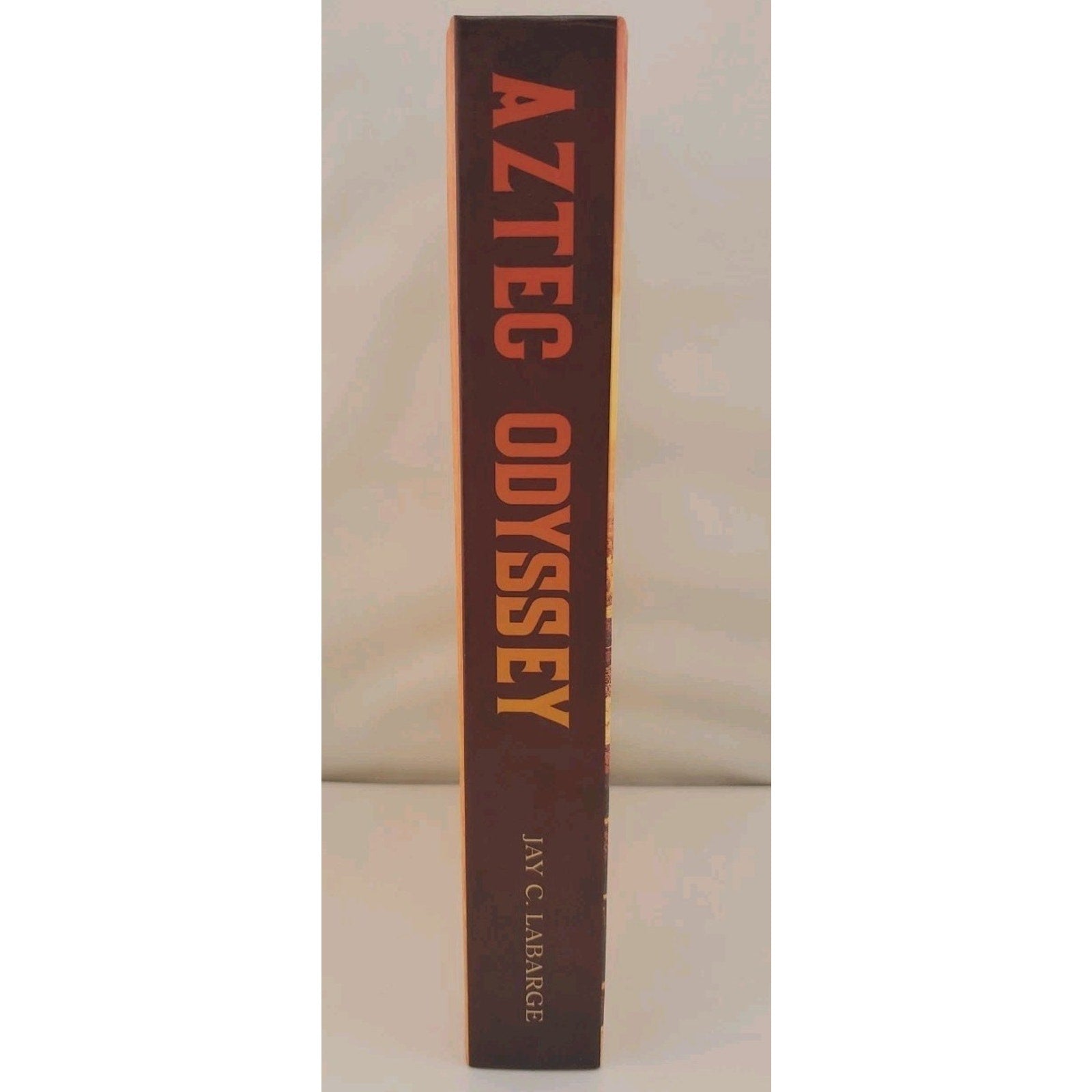 Aztec Odyssey: Historical Action Adventure by LaBarge, Jay C. (Hardcover)