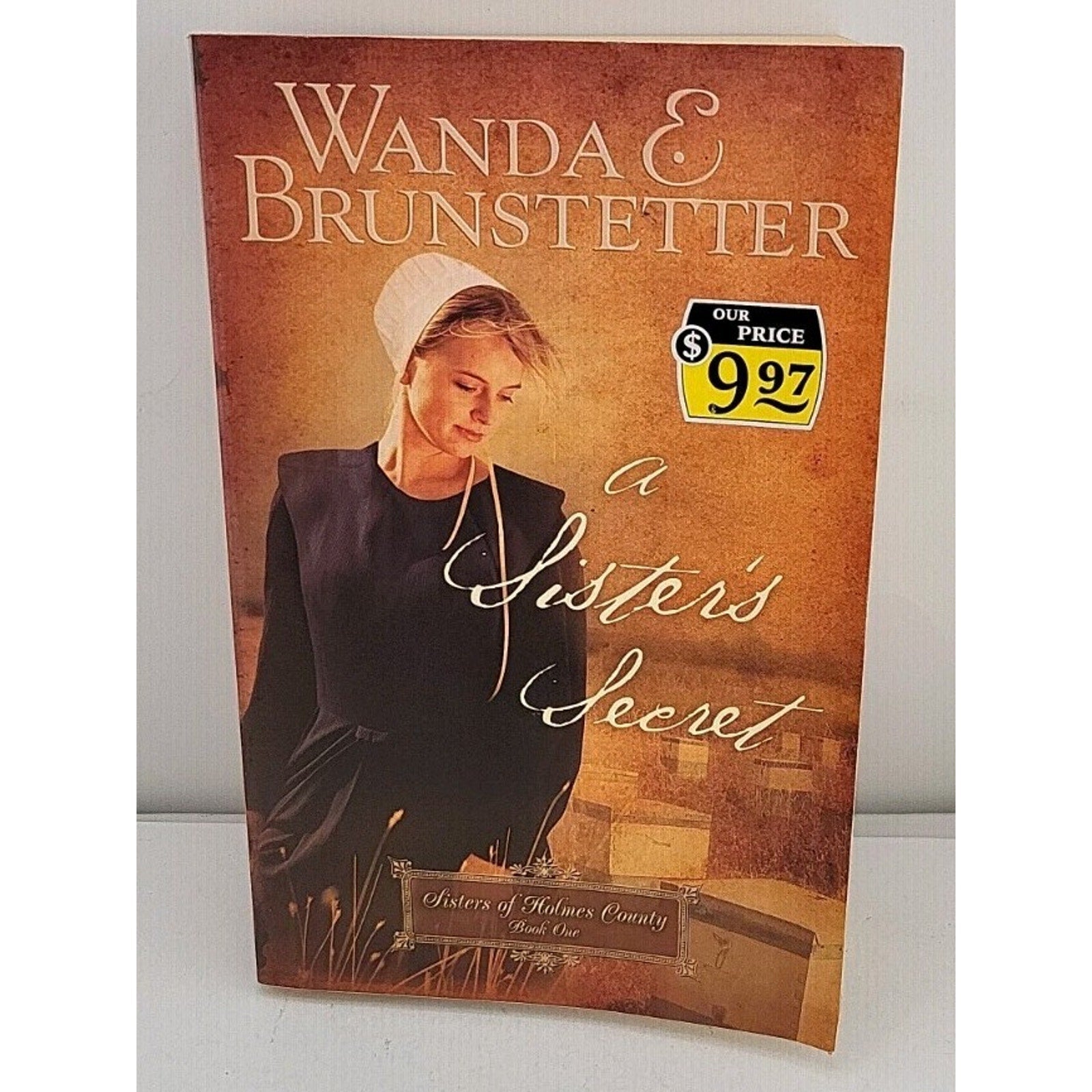 Sister's Secret by Wanda E. Brunstetter (2007, Trade Paperback)