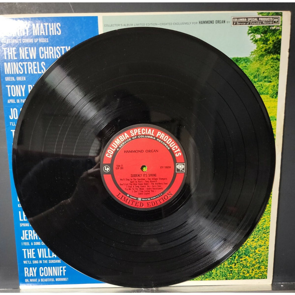 Suddenly Its Spring Vinyl