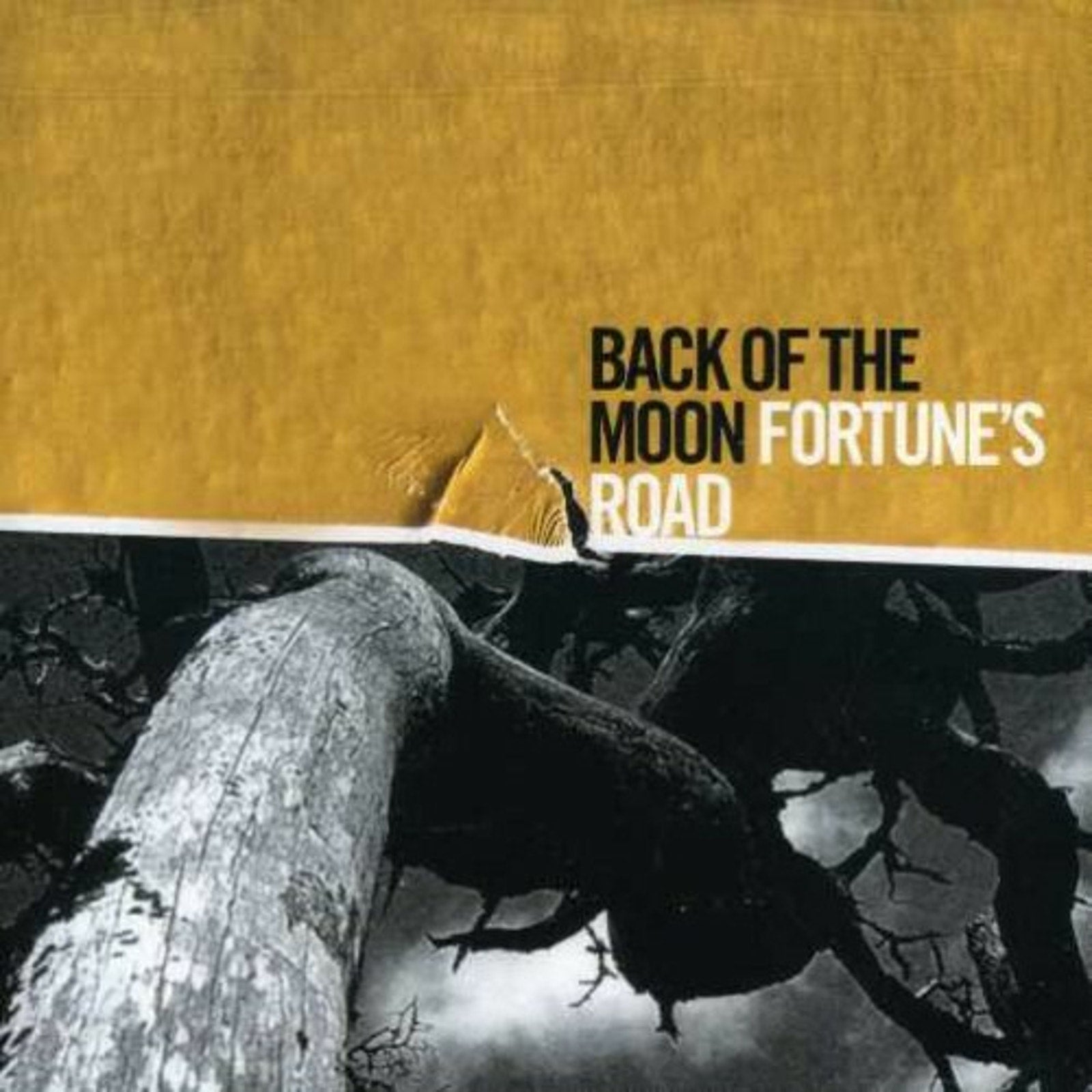 Fortune's Road by Back of the Moon (CD, 2007)
