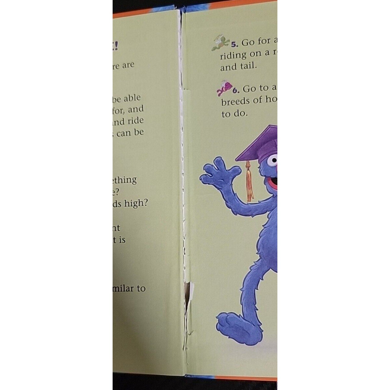 Sesame Street - Horses & Ponies Hardback Edition