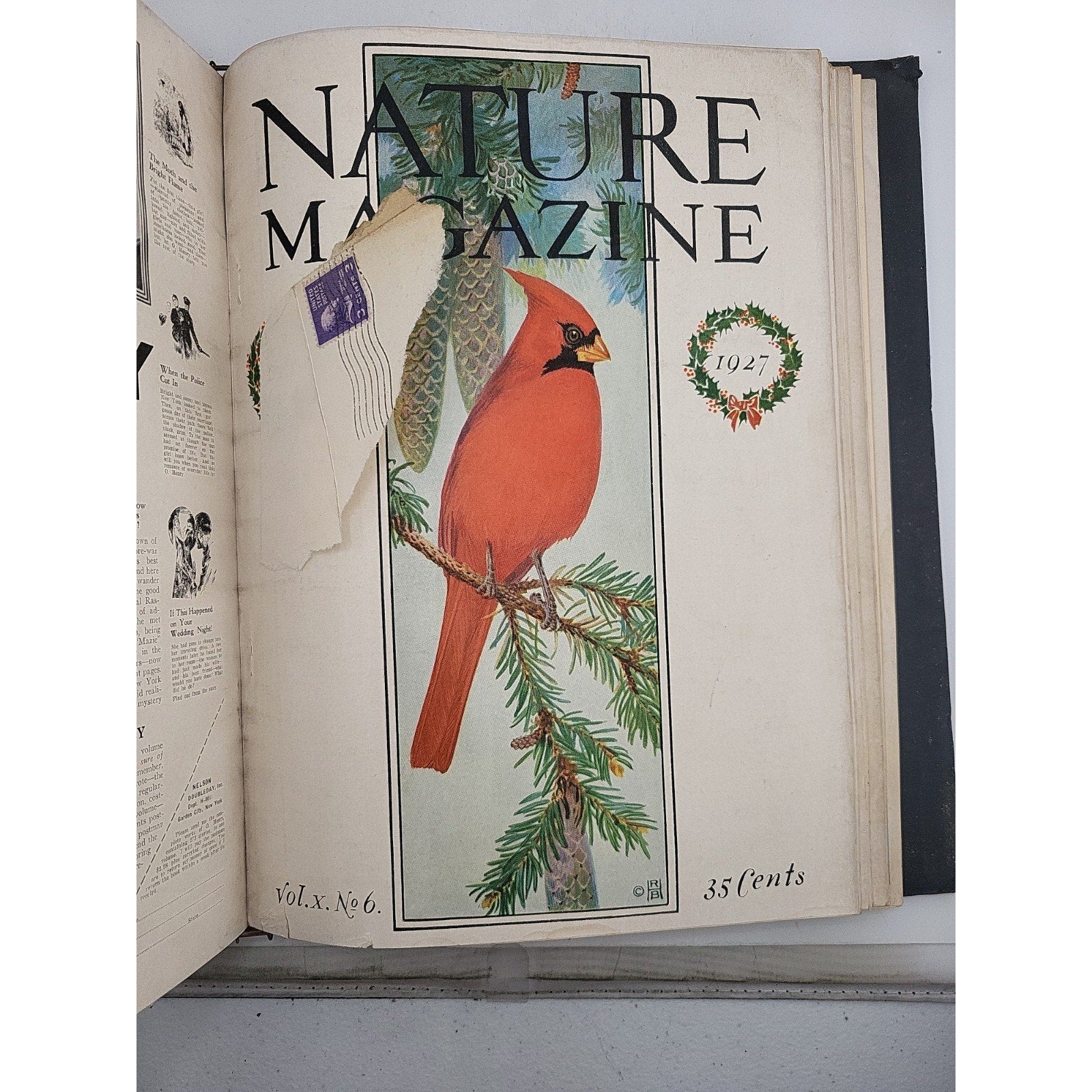 1927 Nature Magazine-12 Months In Embossed Green Leather Album Texas Issue.
