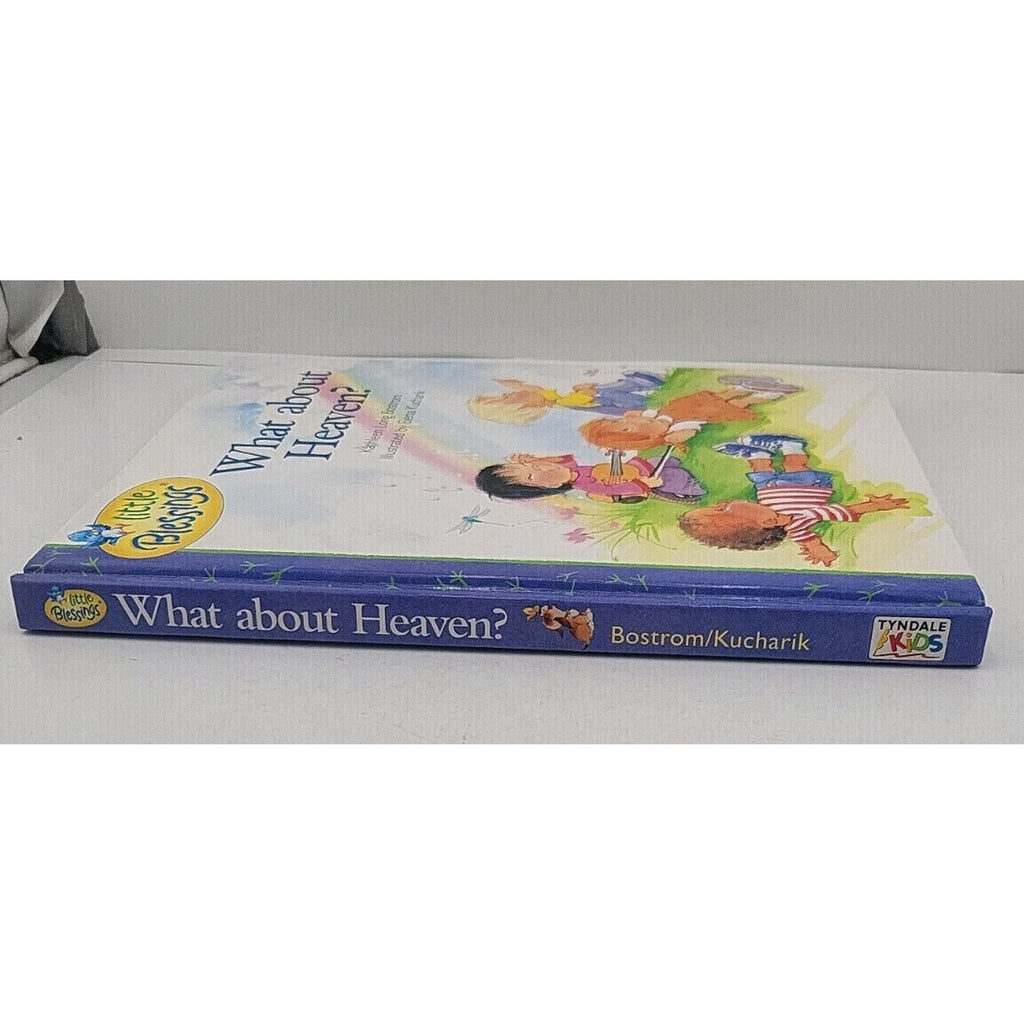 What about Heaven? by Kathleen Long Bostrom (2000, Hardcover)