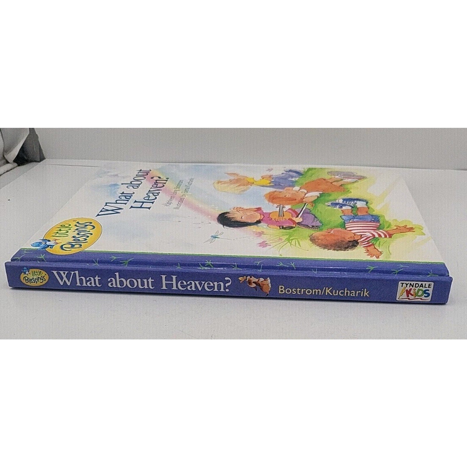 What about Heaven? by Kathleen Long Bostrom (2000, Hardcover)