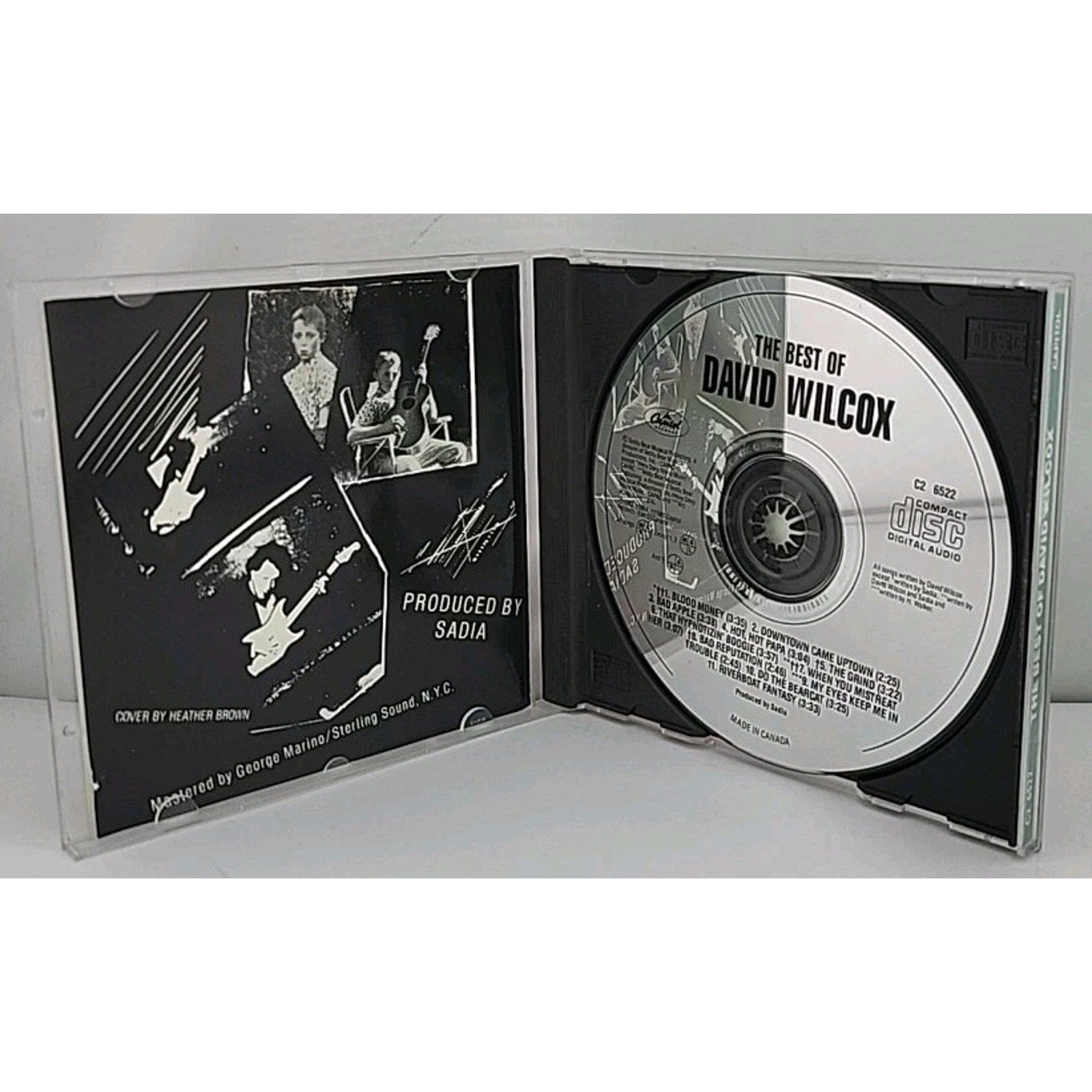 The Best Of David Wilcox CD