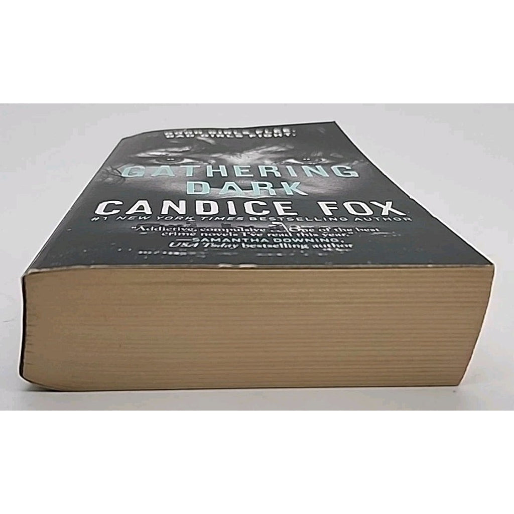 Gathering Dark by Candice Fox (2022, Mass Market)