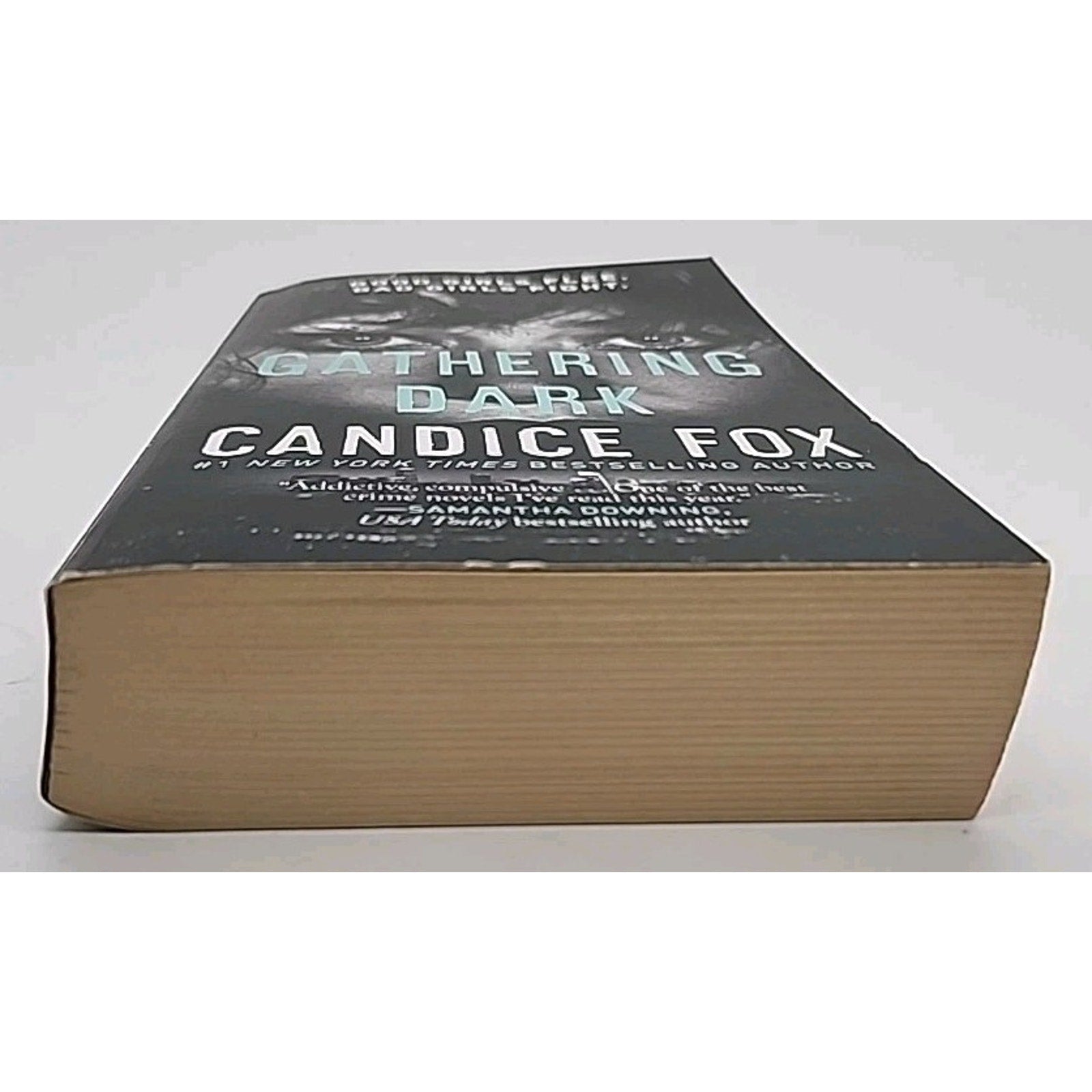 Gathering Dark by Candice Fox (2022, Mass Market)