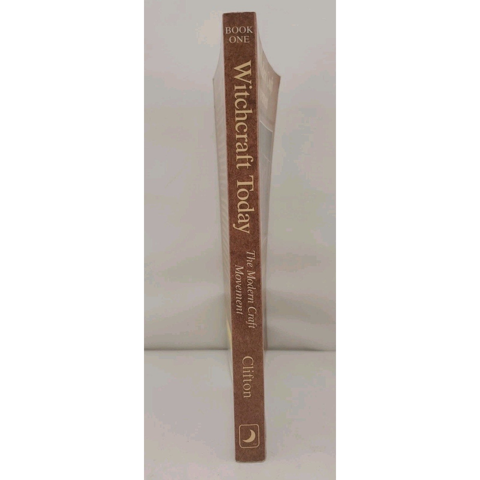 The Modern Craft Movement - Witchcraft Today Book One - Chas S Clifton