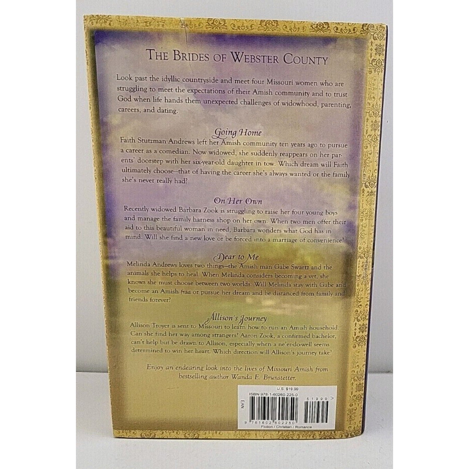 Brides of Webster County by Wanda E. Brunstetter (2008, Hardcover)