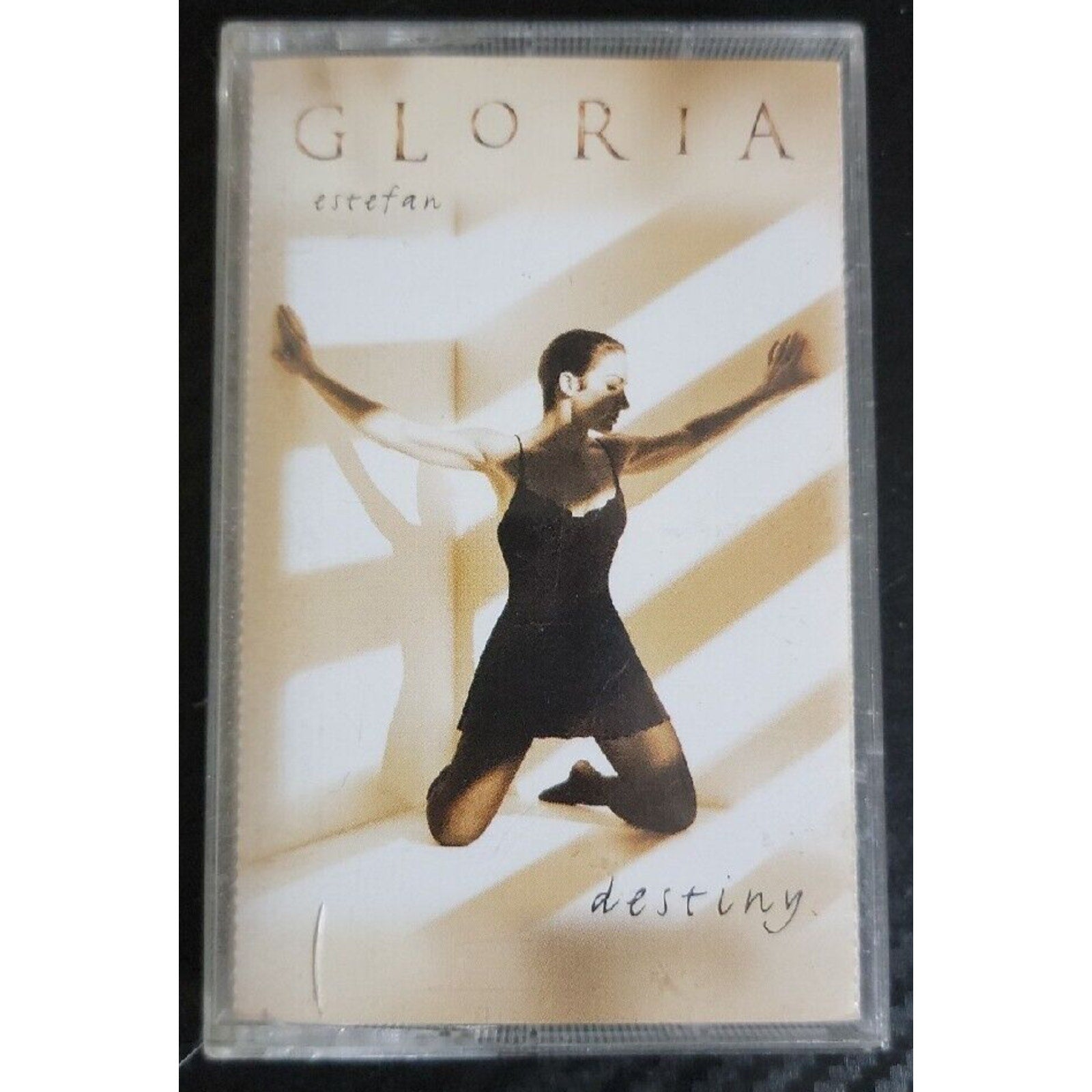 Destiny by Gloria Estefan (Cassette)