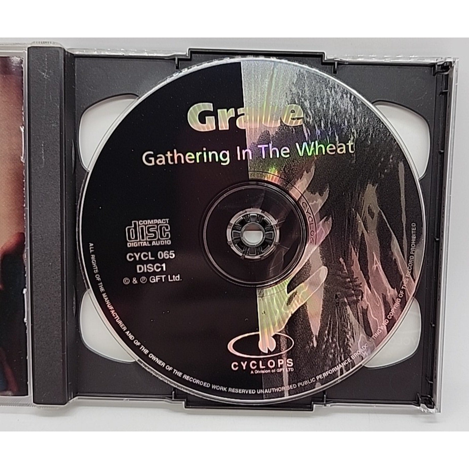 Gathering in the Wheat by Grace (CD, Aug-1998, 2 Discs, Griffin)