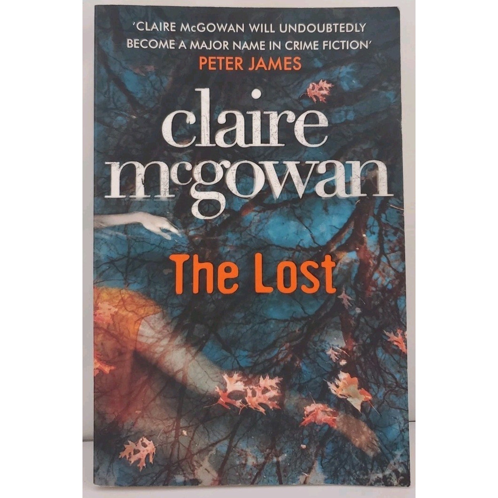 Lost by Claire McGowan (2013, Trade Paperback)