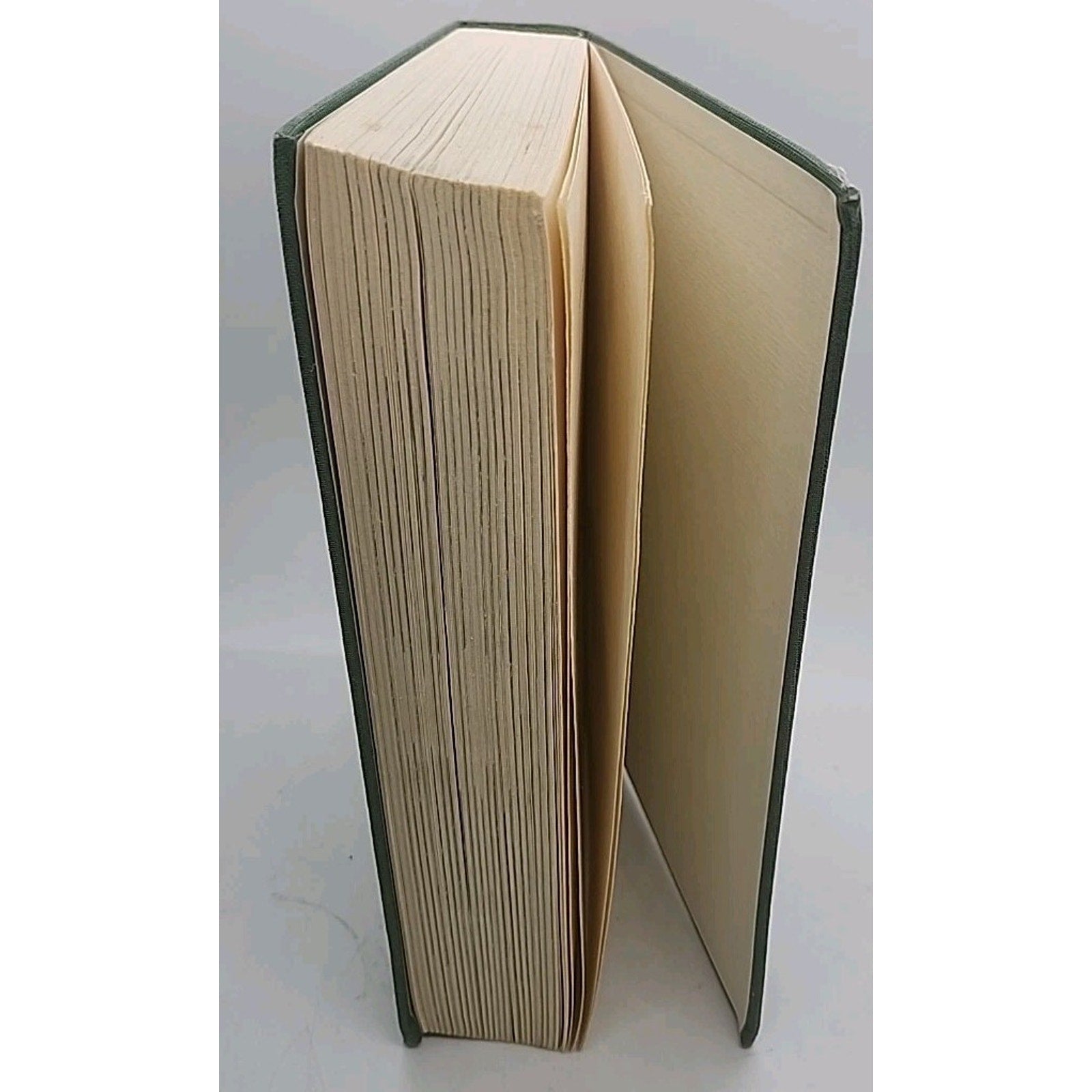 Essen - Das Abenteur Einer Stadt German (Hardcover)
