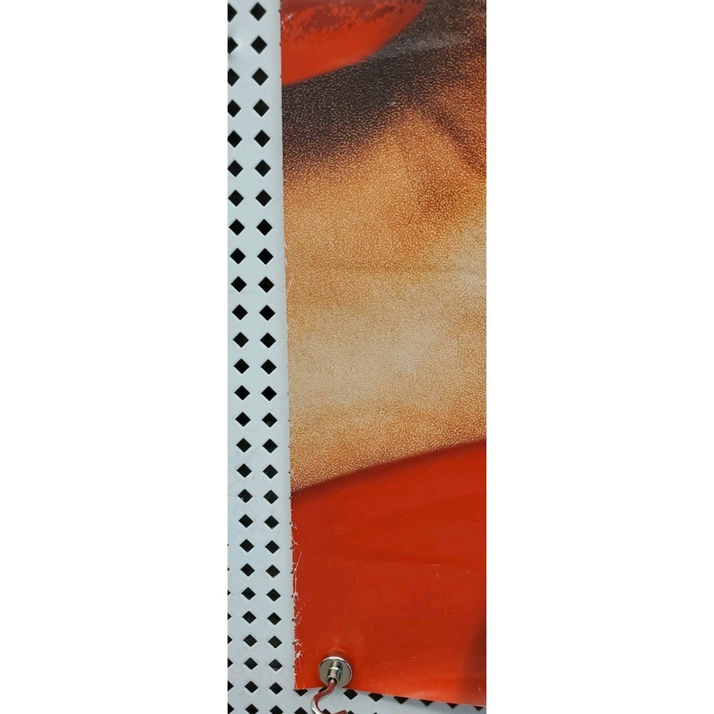 Loser Movie Poster 2 Sided Original Final 27x40 Jason Biggs Mena Suvari