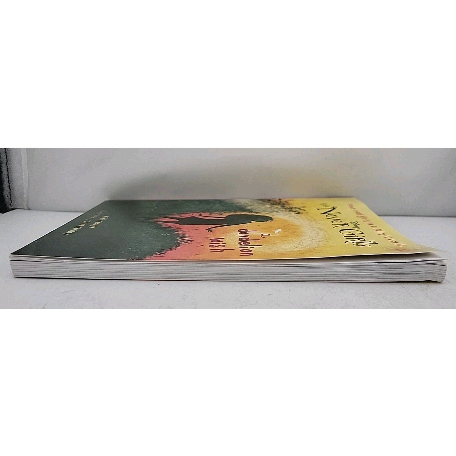 Never Girls #3: a Dandelion Wish (Disney: the Never Girls) by Kiki Thorpe (2013,